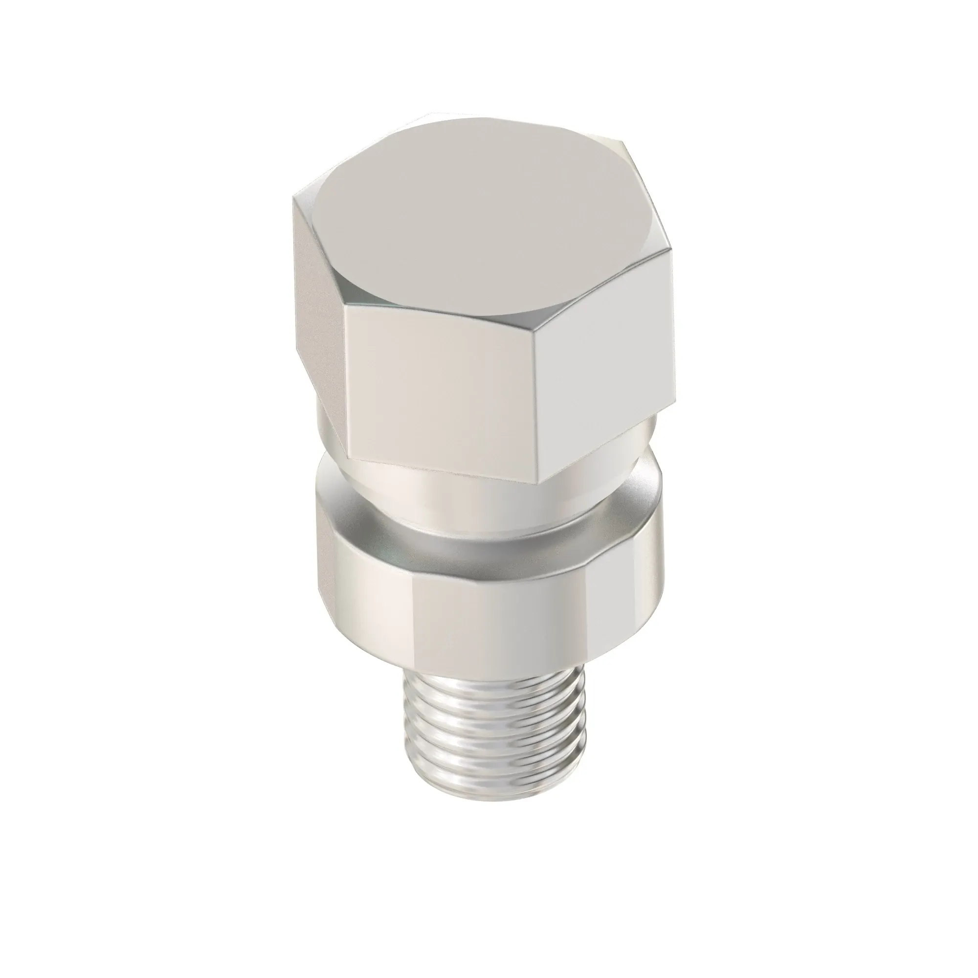 Fitting Plug
