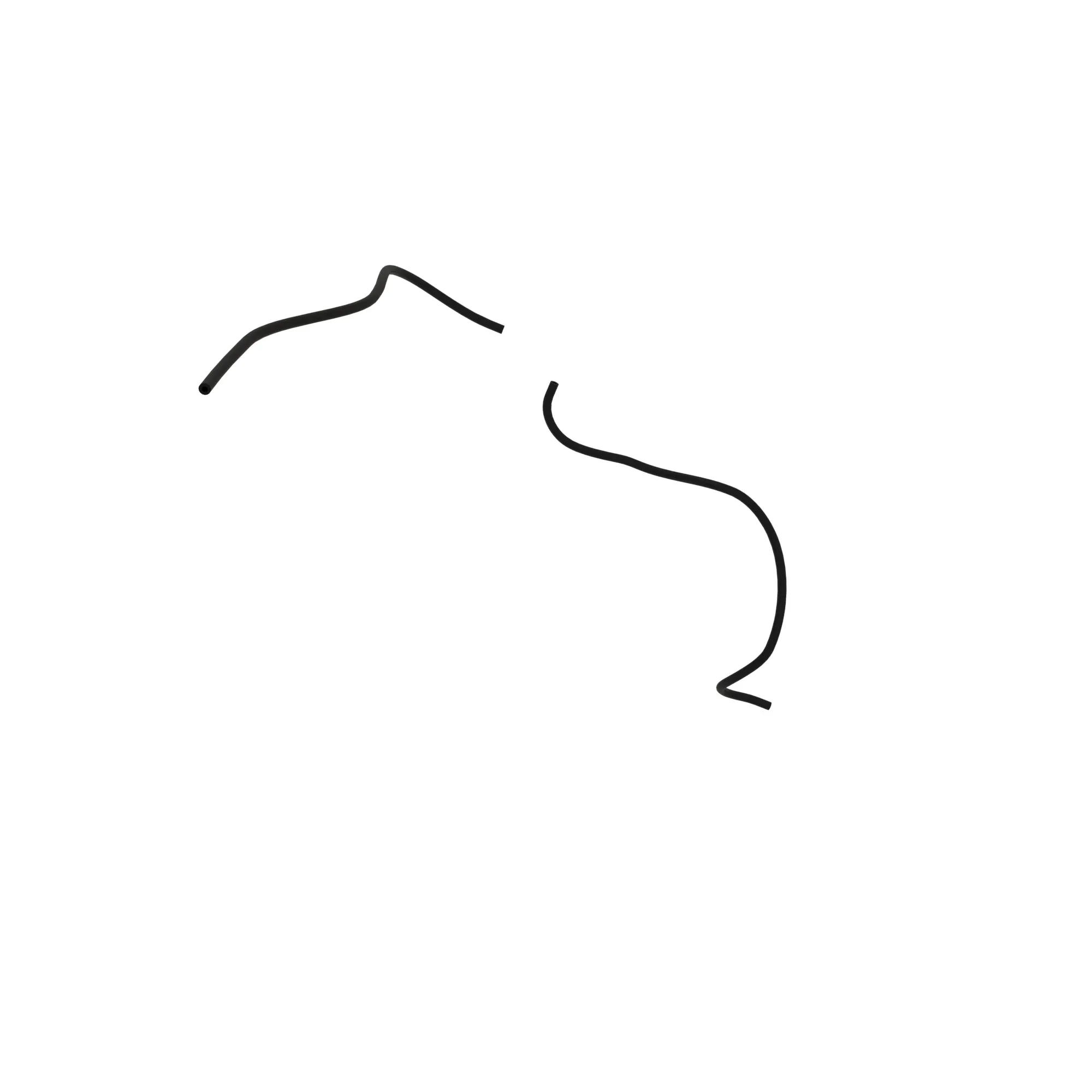 hose