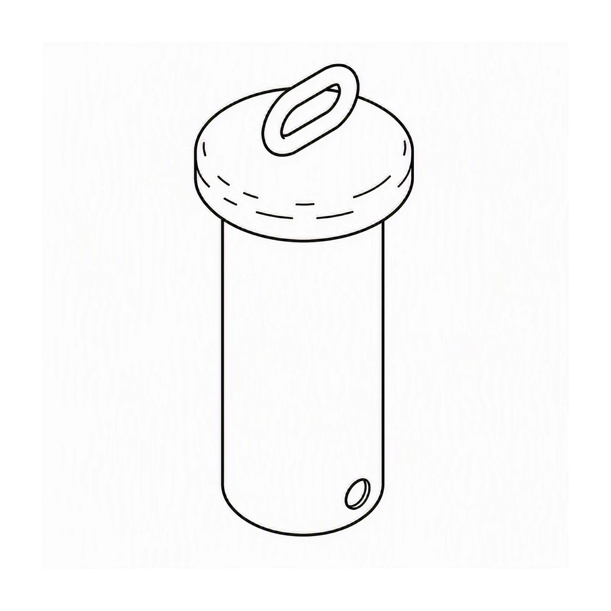 Pin