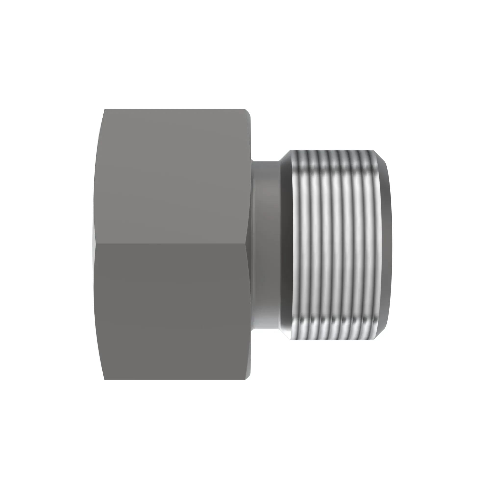 Fitting Plug