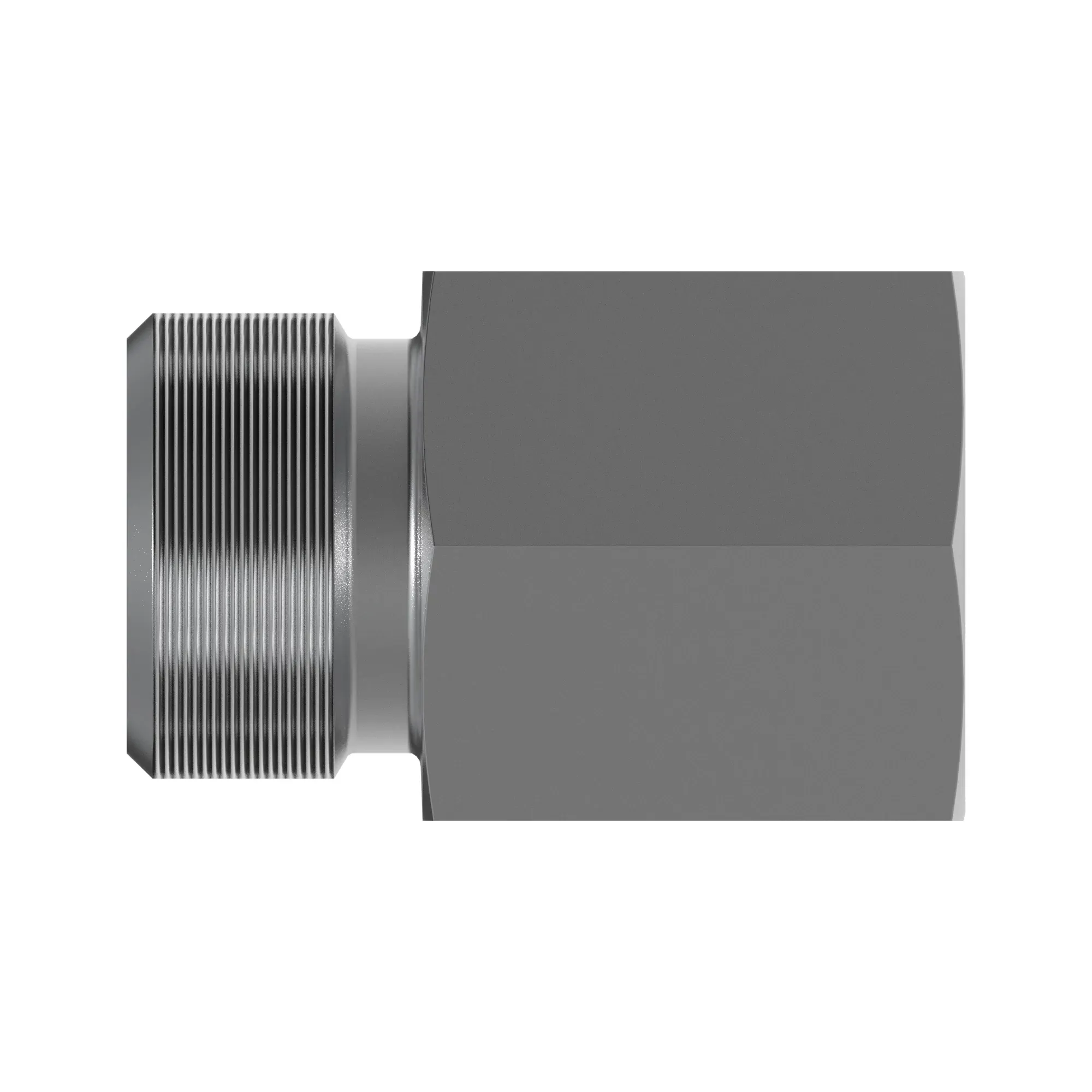 Fitting Plug