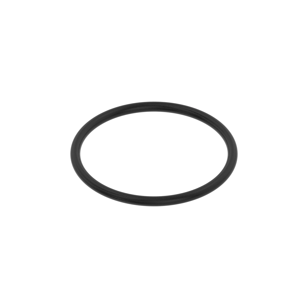 O-Ring Kit, (Motorpal)