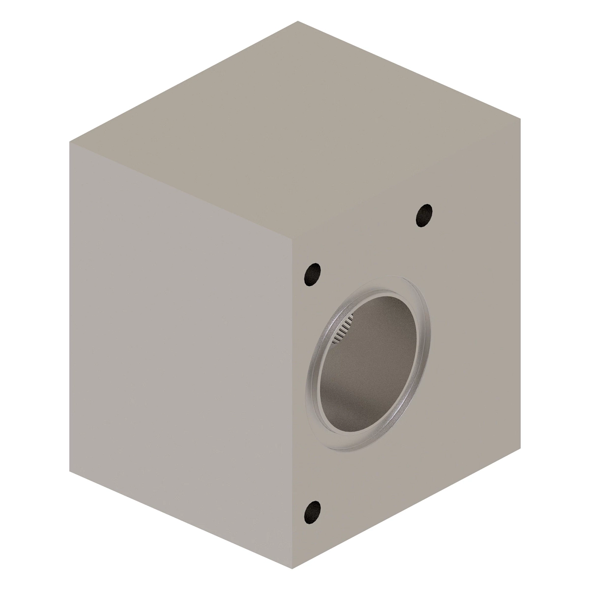 Manifold
