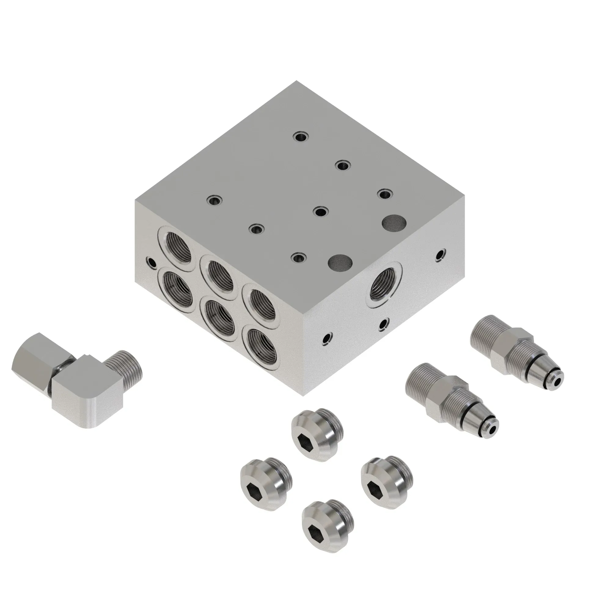 Manifold Kit
