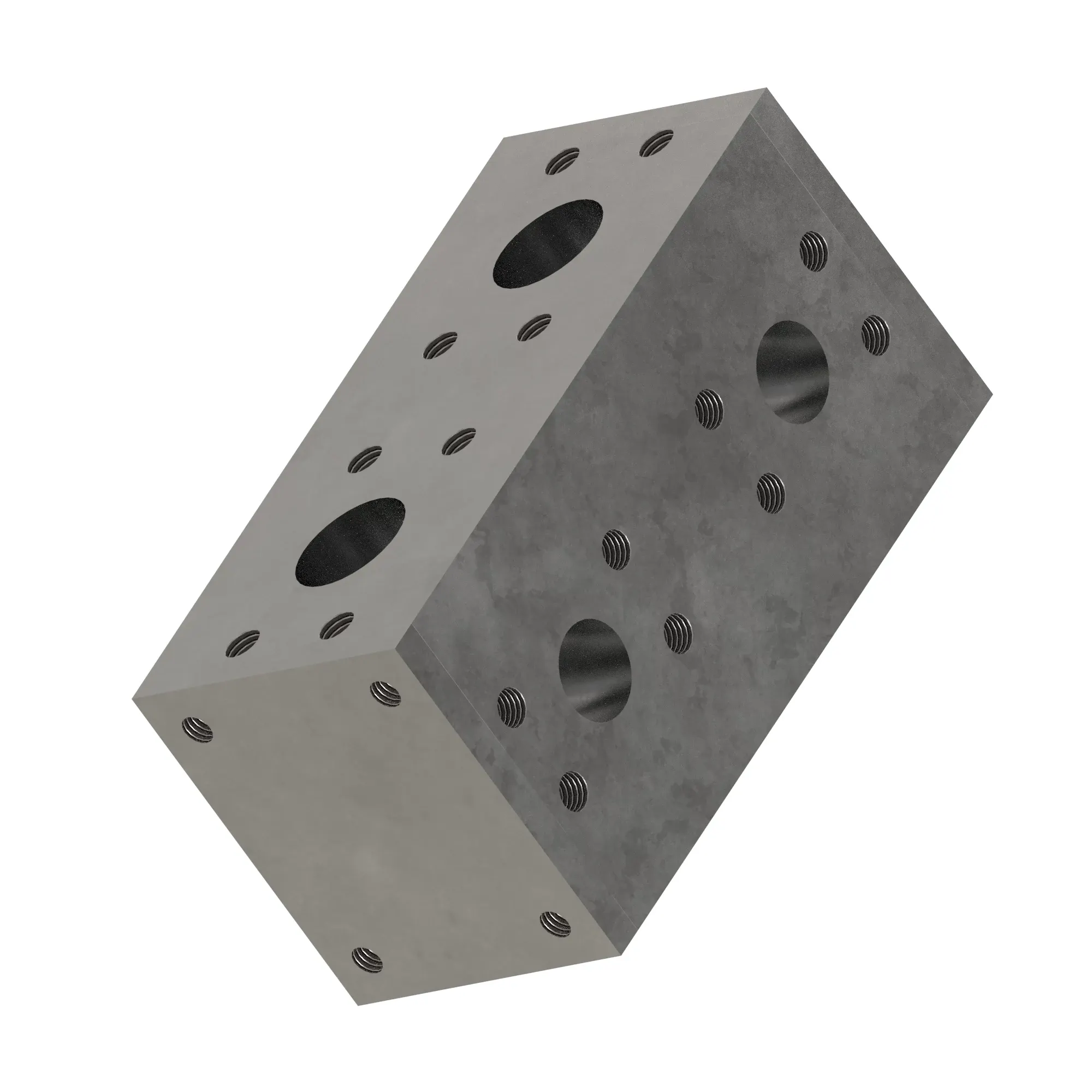 Manifold