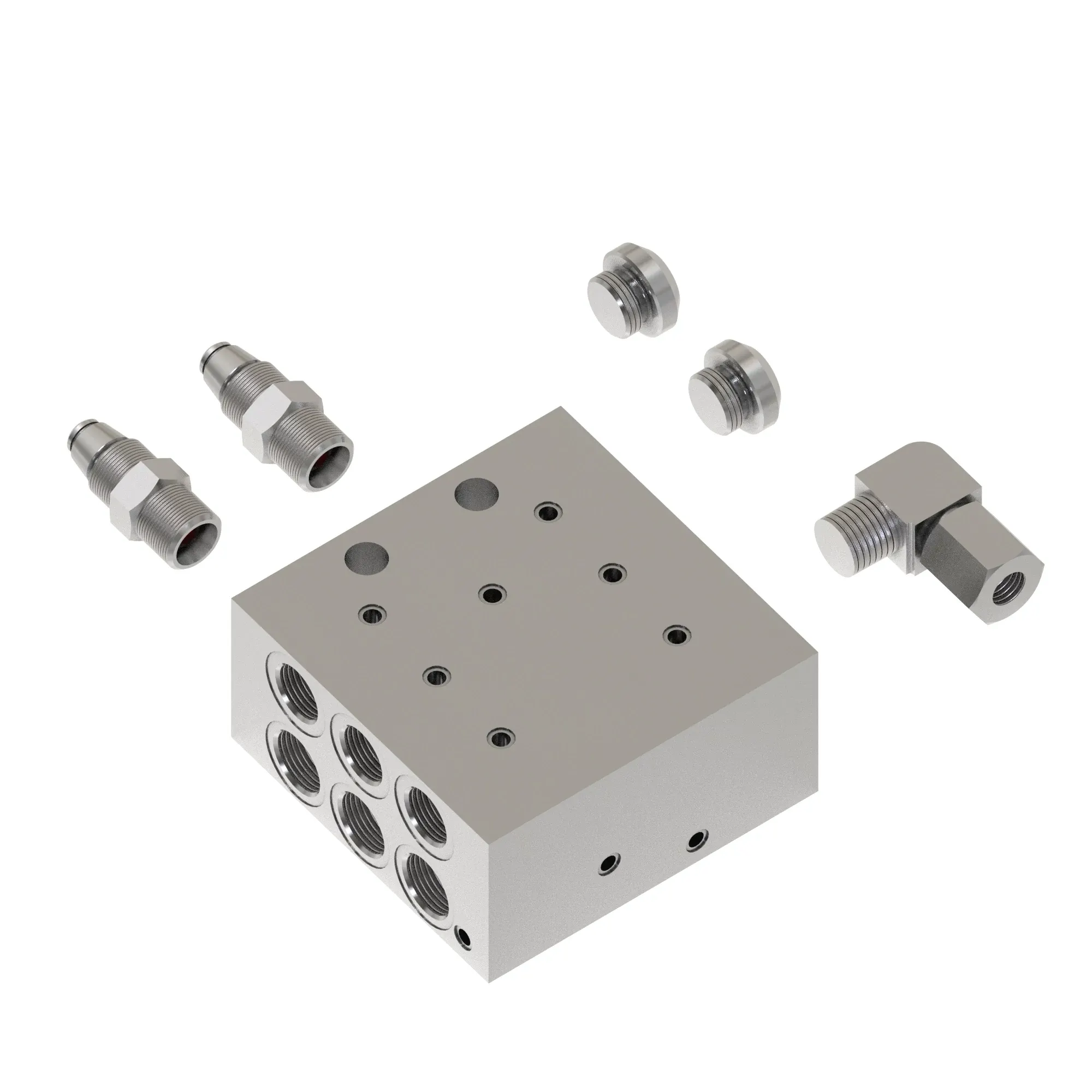 Manifold Kit