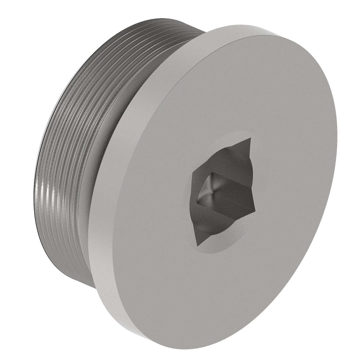 Fitting Plug, O Ring Port