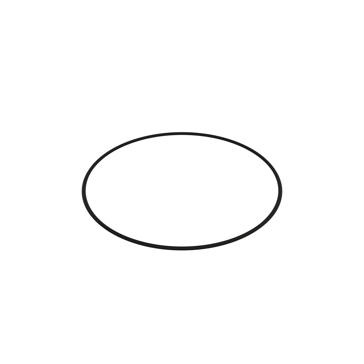 O-Ring, ARP045