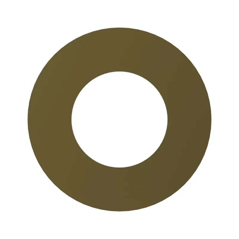 Thrust Washer