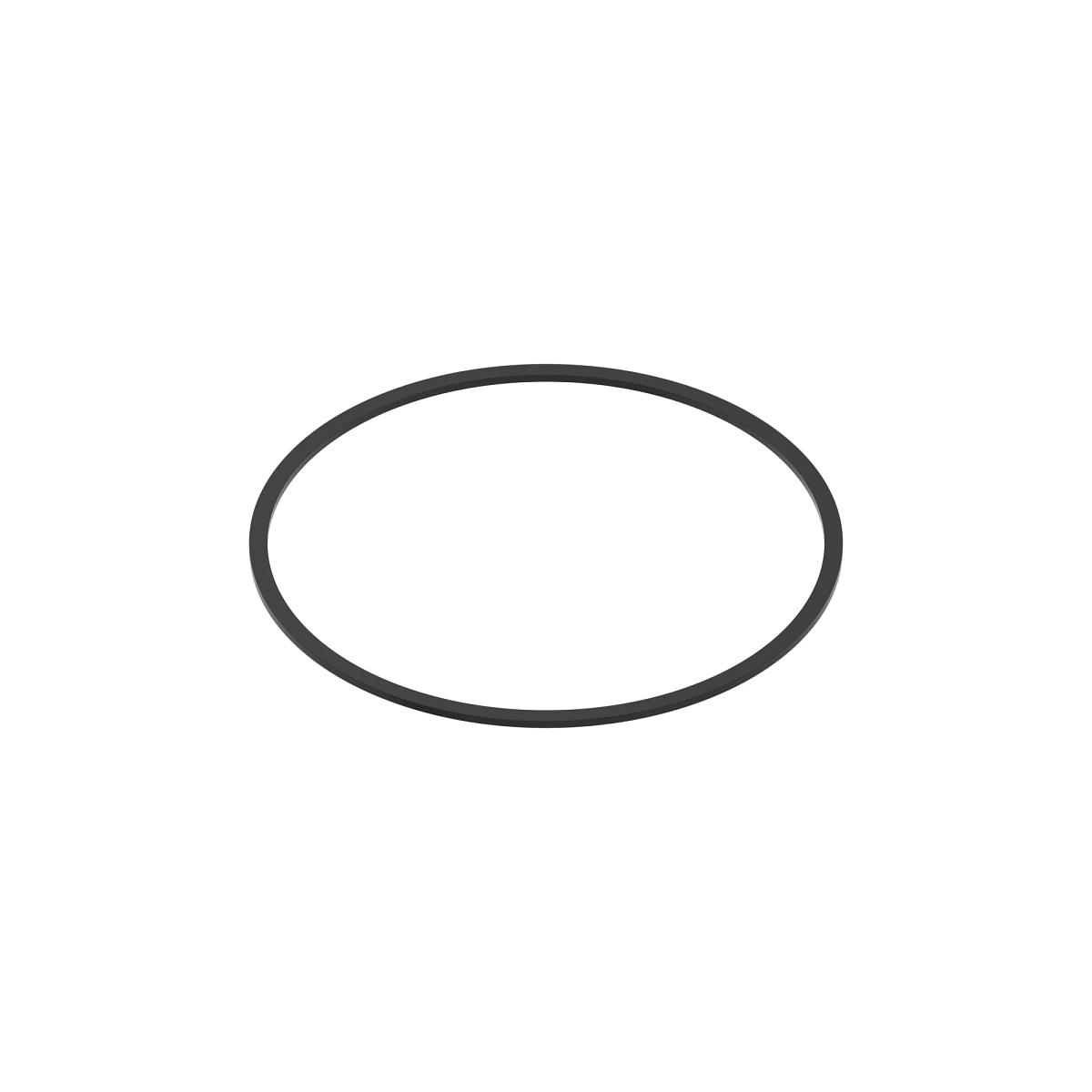 Seal, Piston Gland