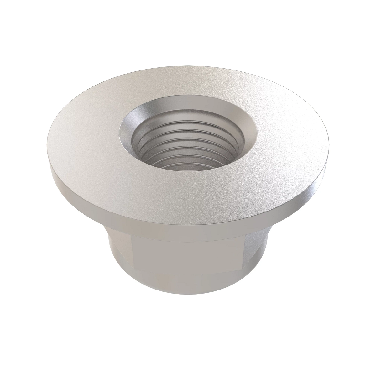 Nut, 3/4-10 Flanged Nylock