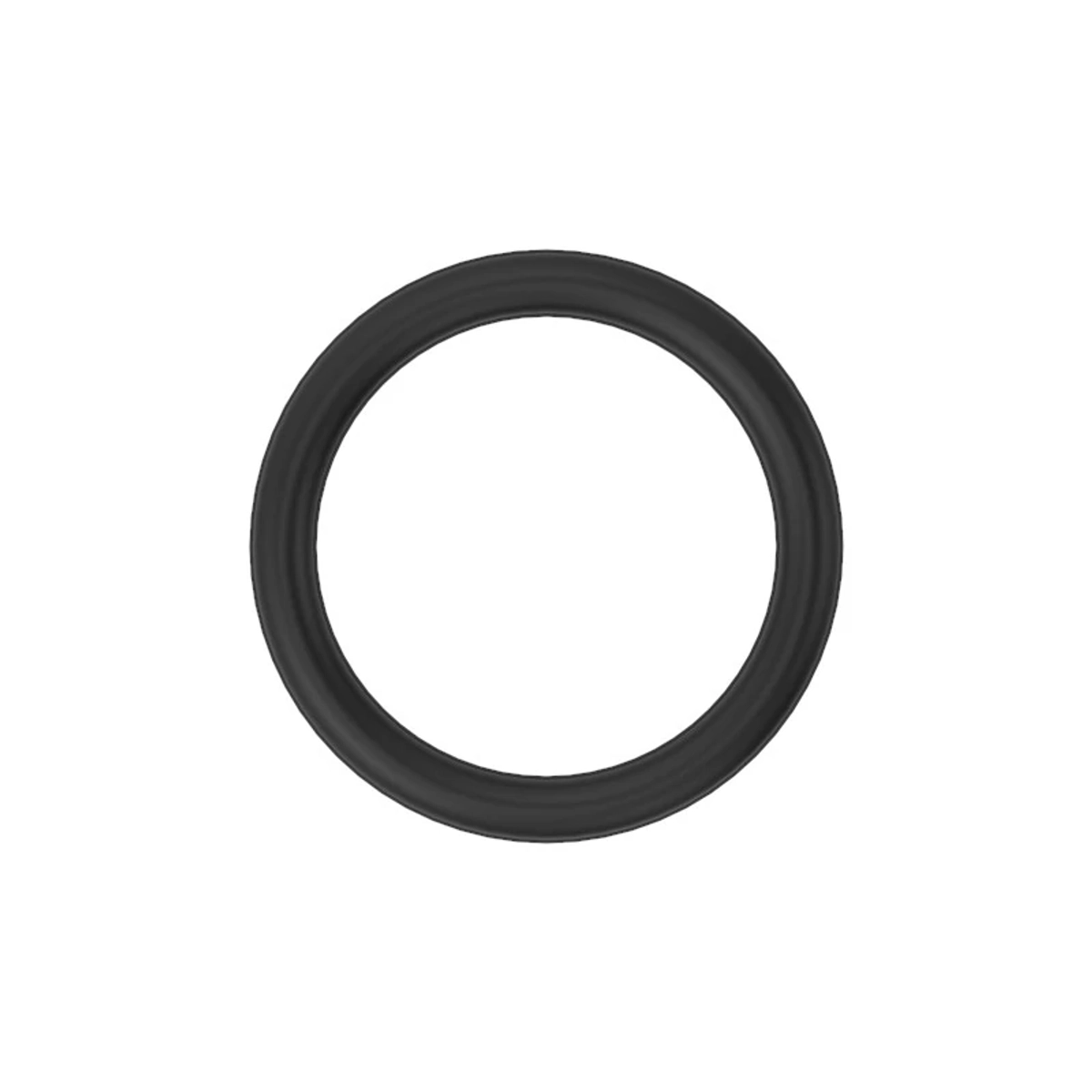 O-Ring, 31, 5X4, 25 Din-3771