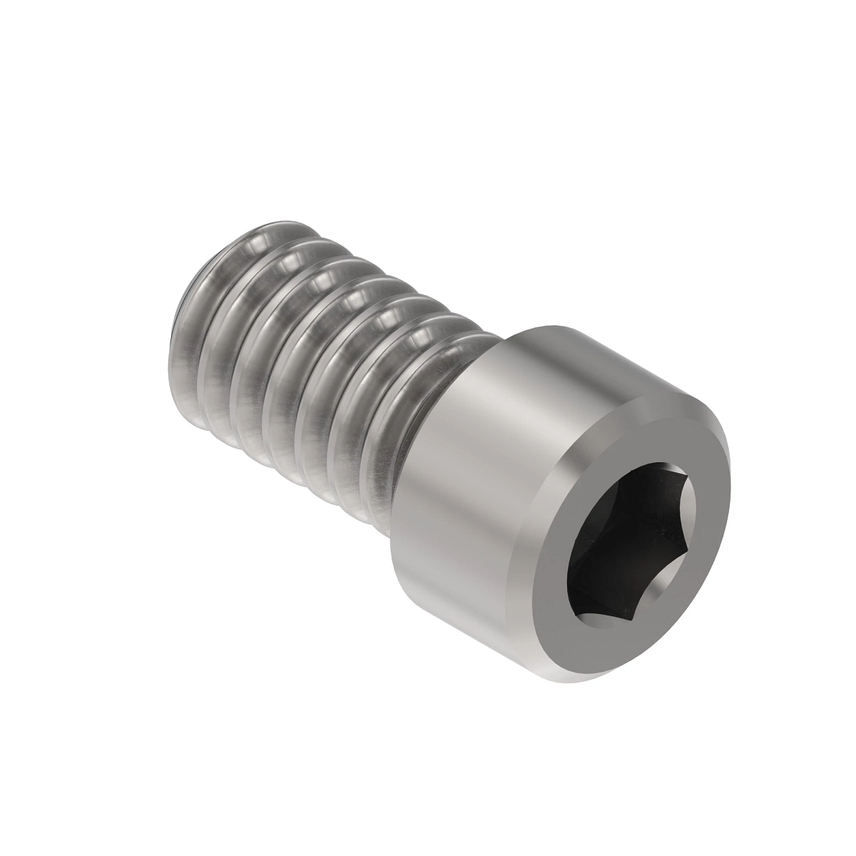 Screw, Hex Socket Head, Metric