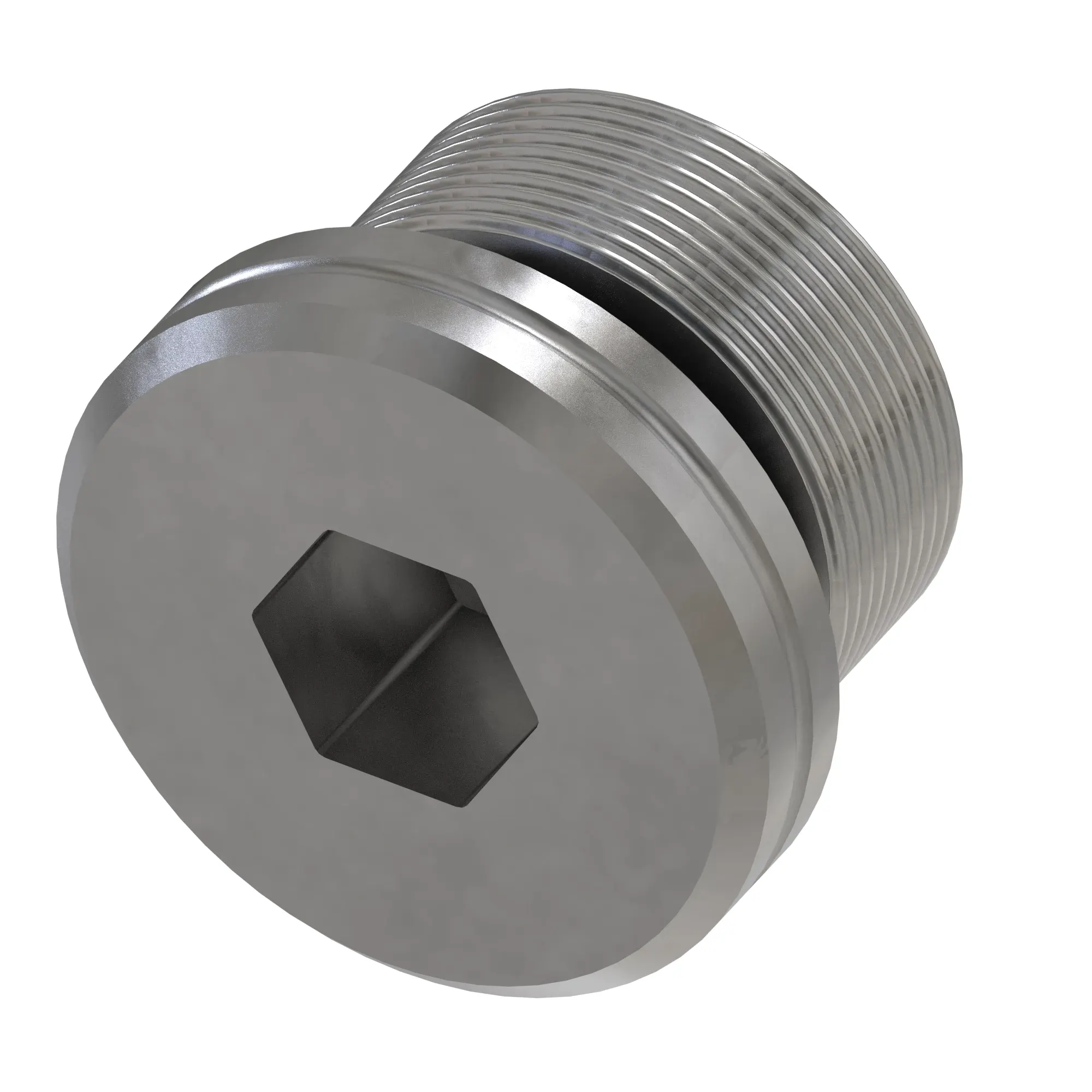 Fitting Plug
