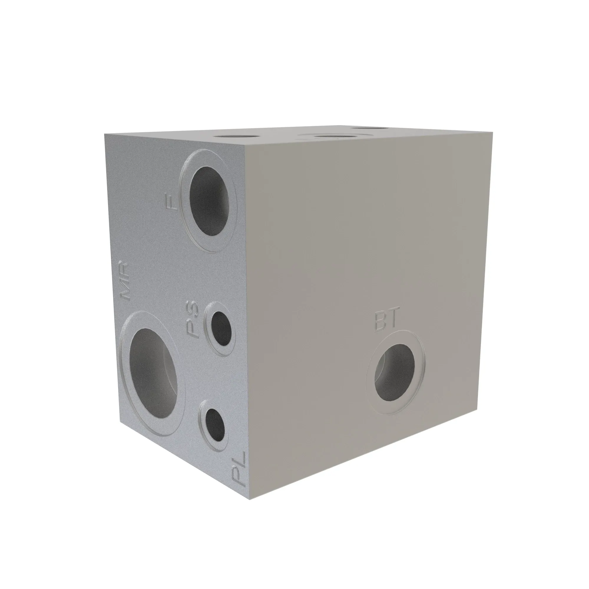 ADAPTER FLANGE
FLUSH MANIFOLD
W/O FITTINGS