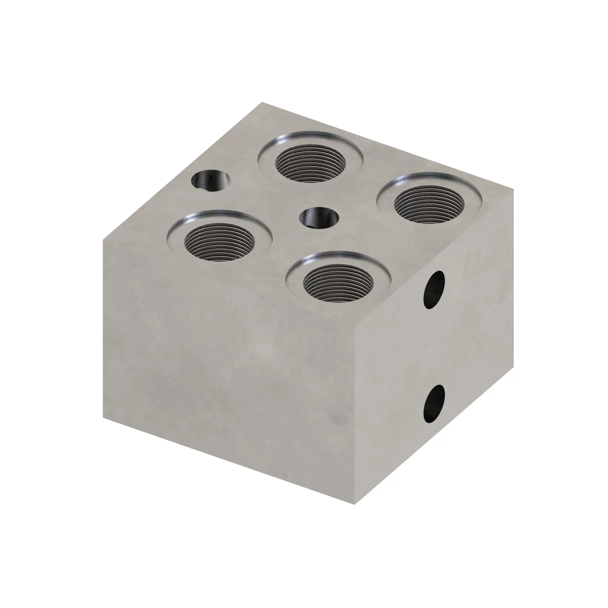 Manifold