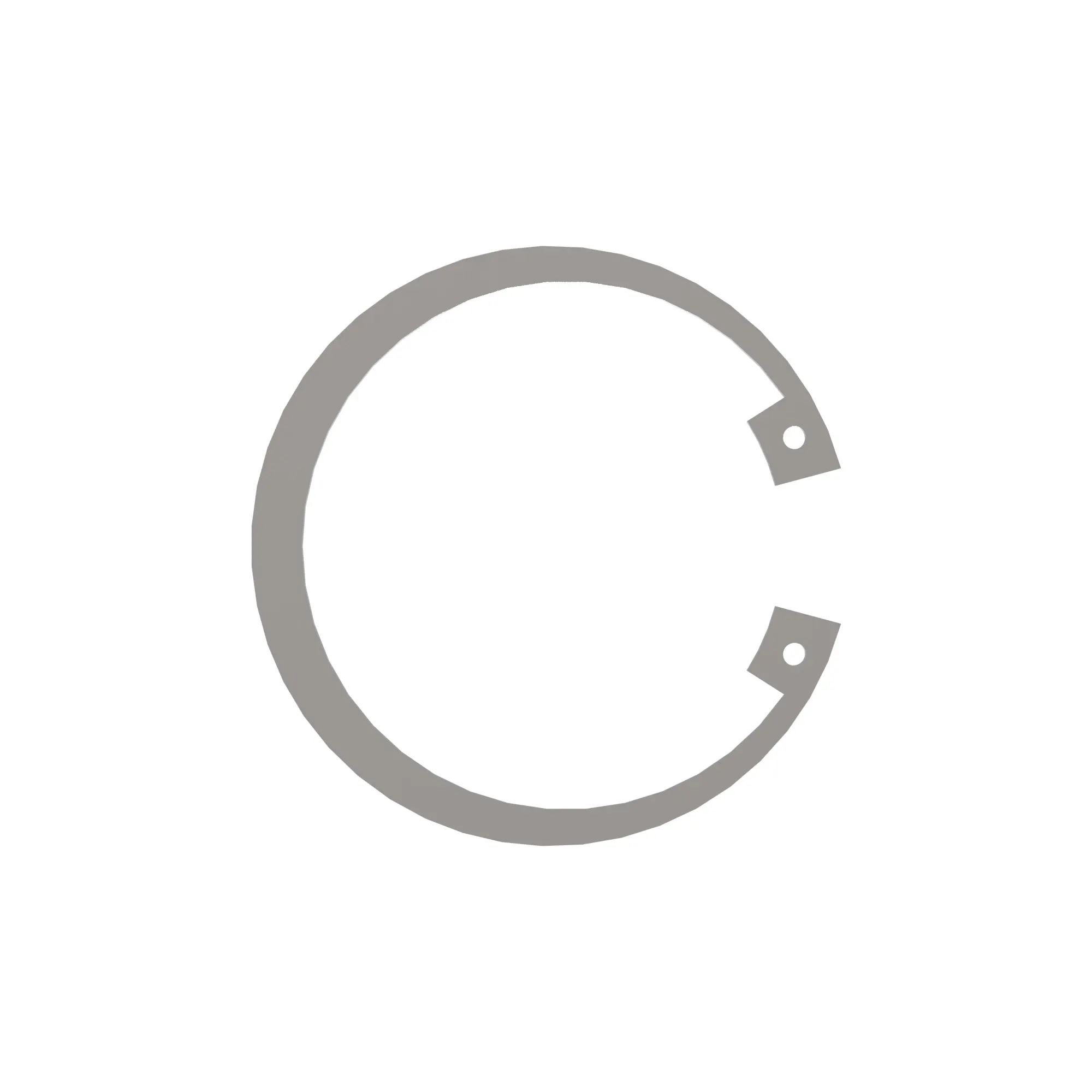Snap Ring