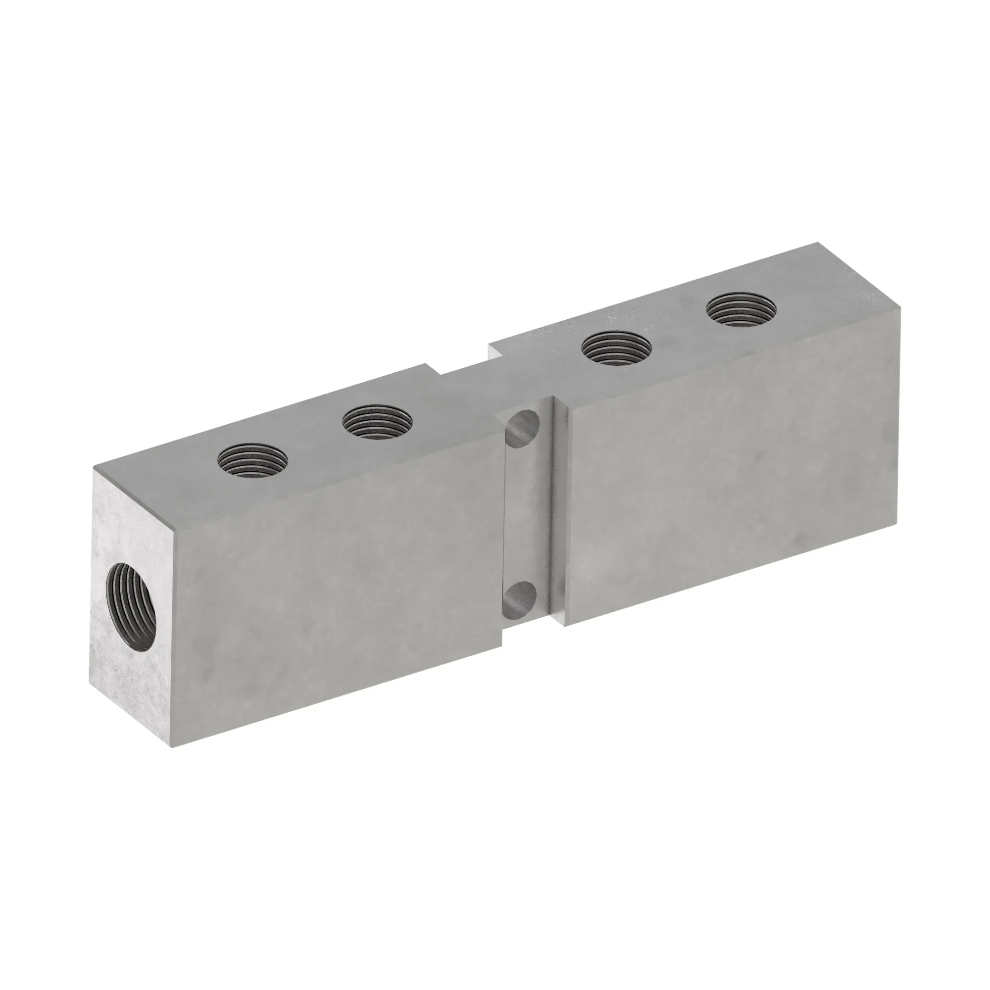 Manifold