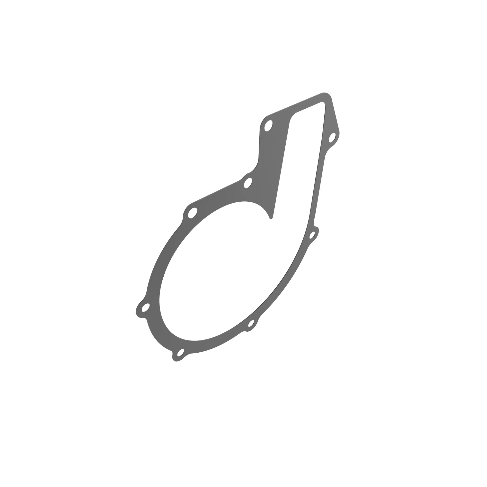 R50410: Water Pump Gasket