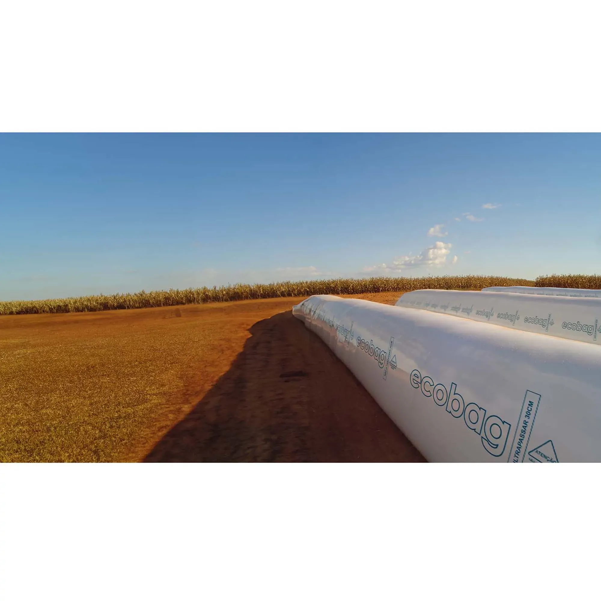 SILO BOLSA 9PES 75M ECOBAG G18