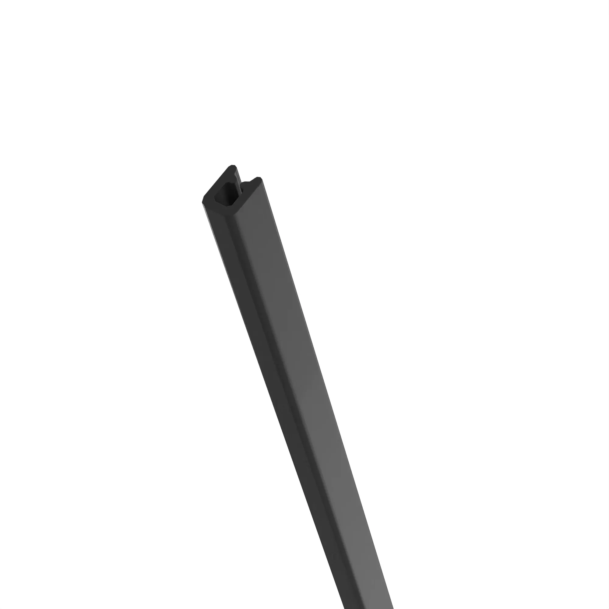 SECTION