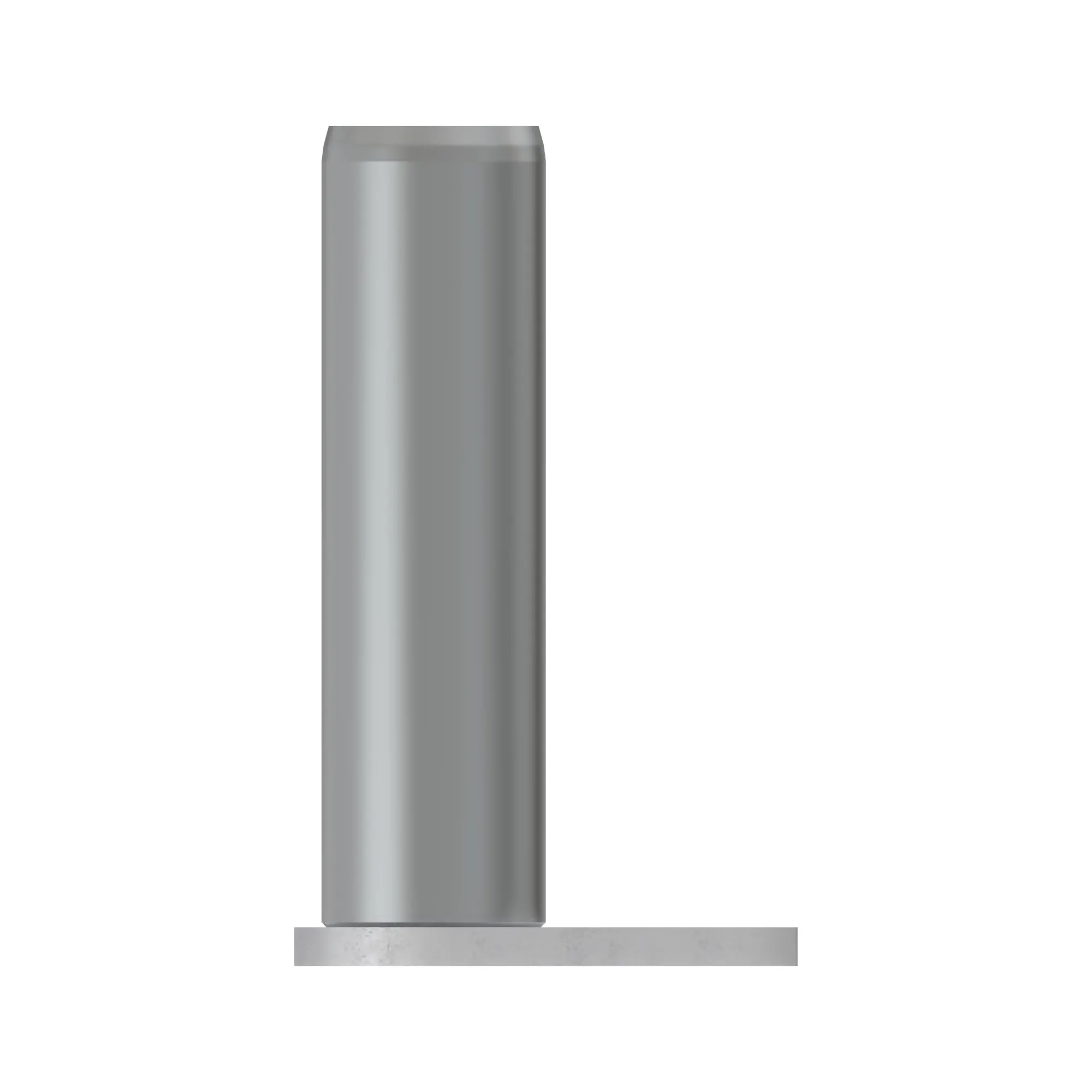 Pin