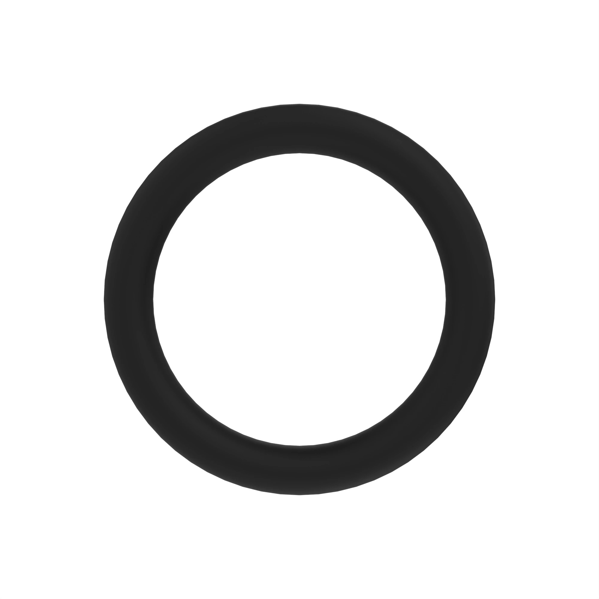 O-Ring