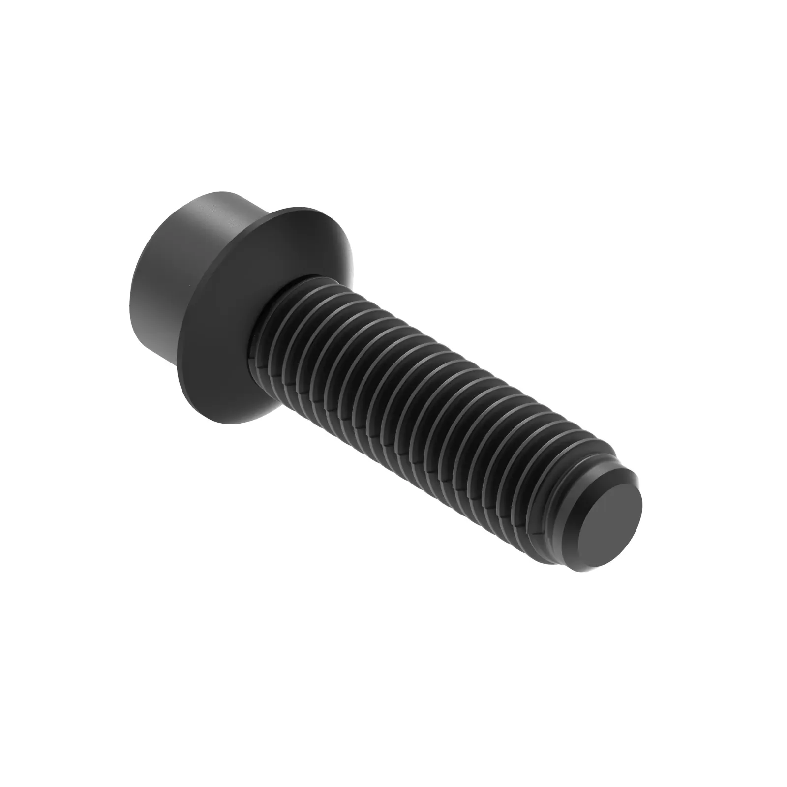Screw With Washer
