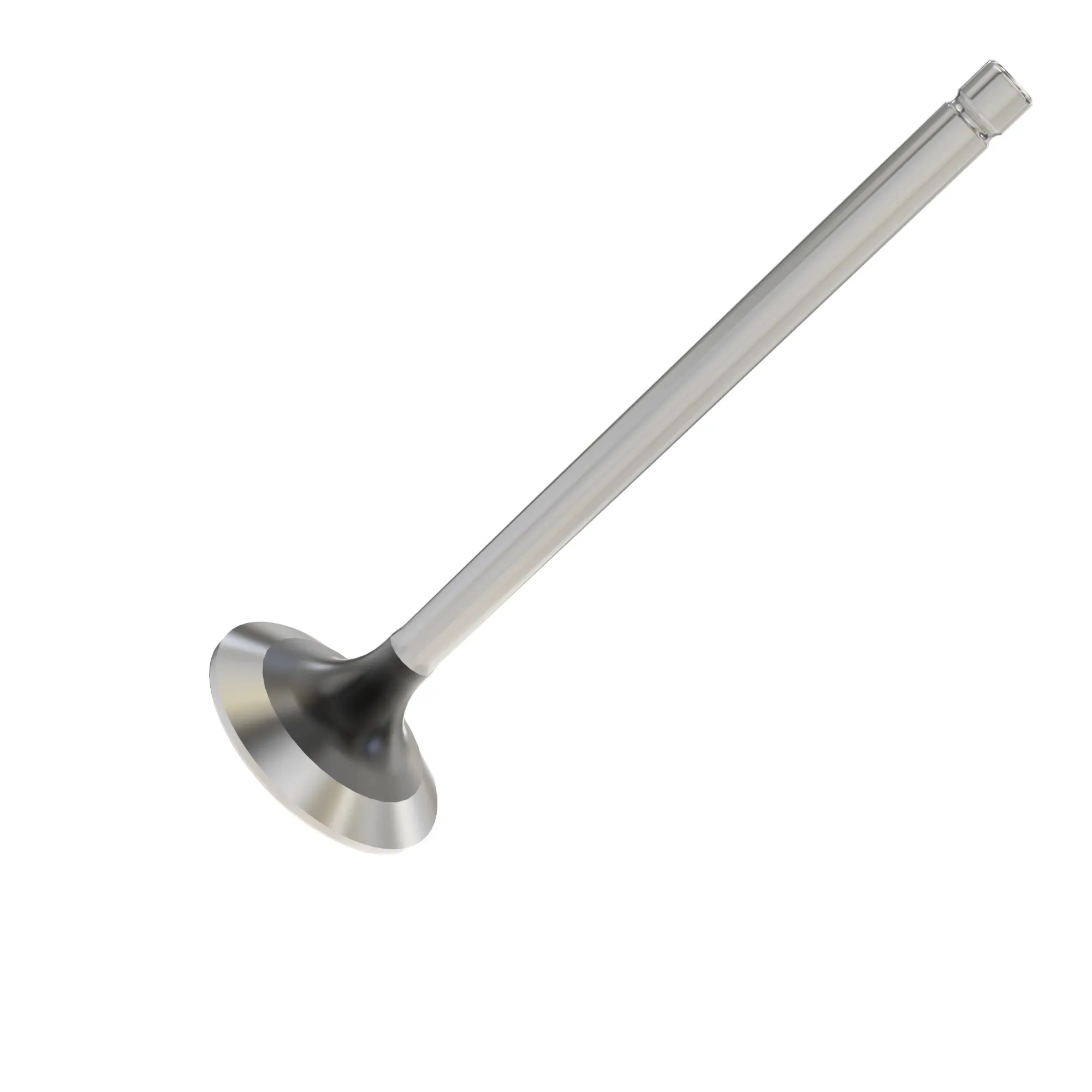 Exhaust Valve