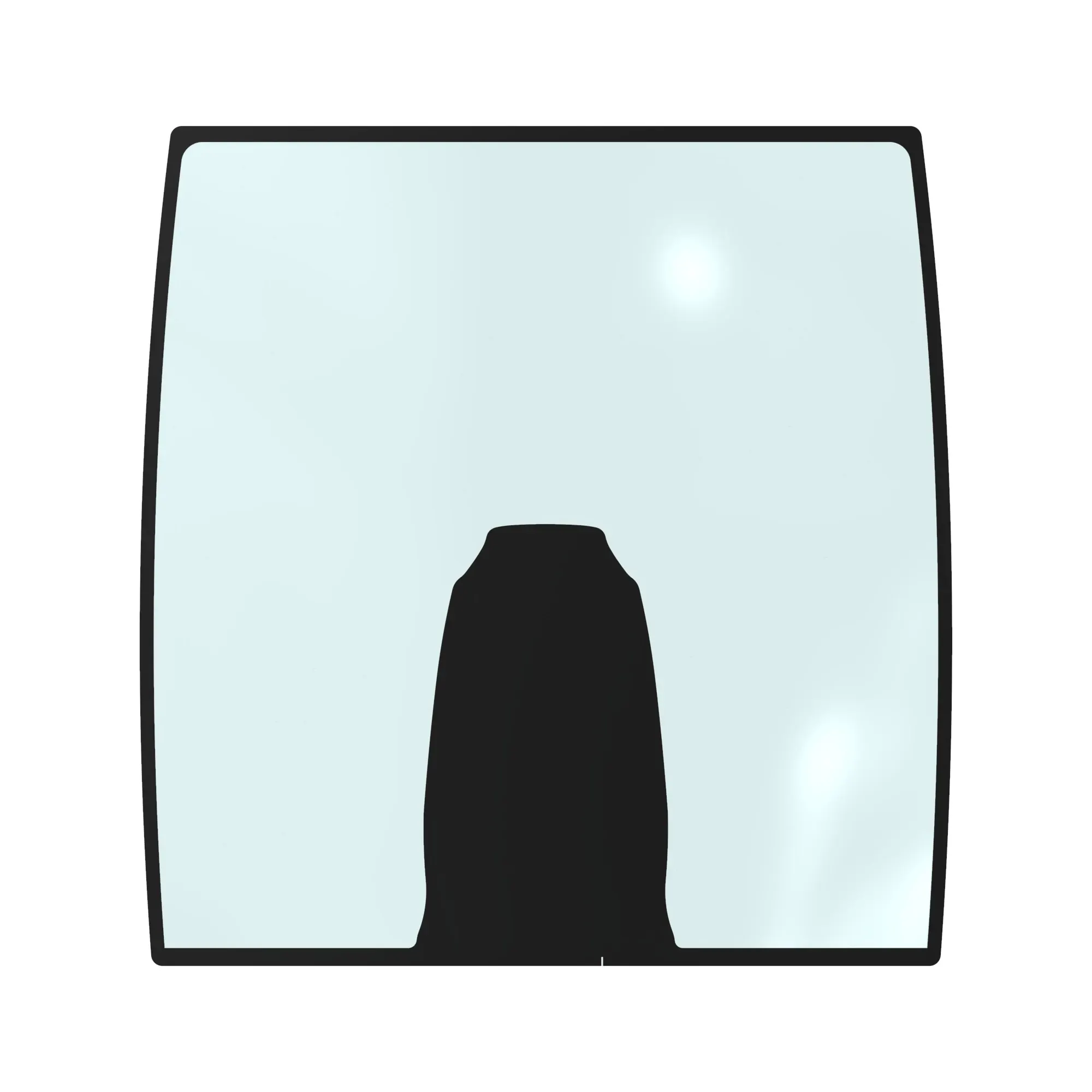 Windshield
