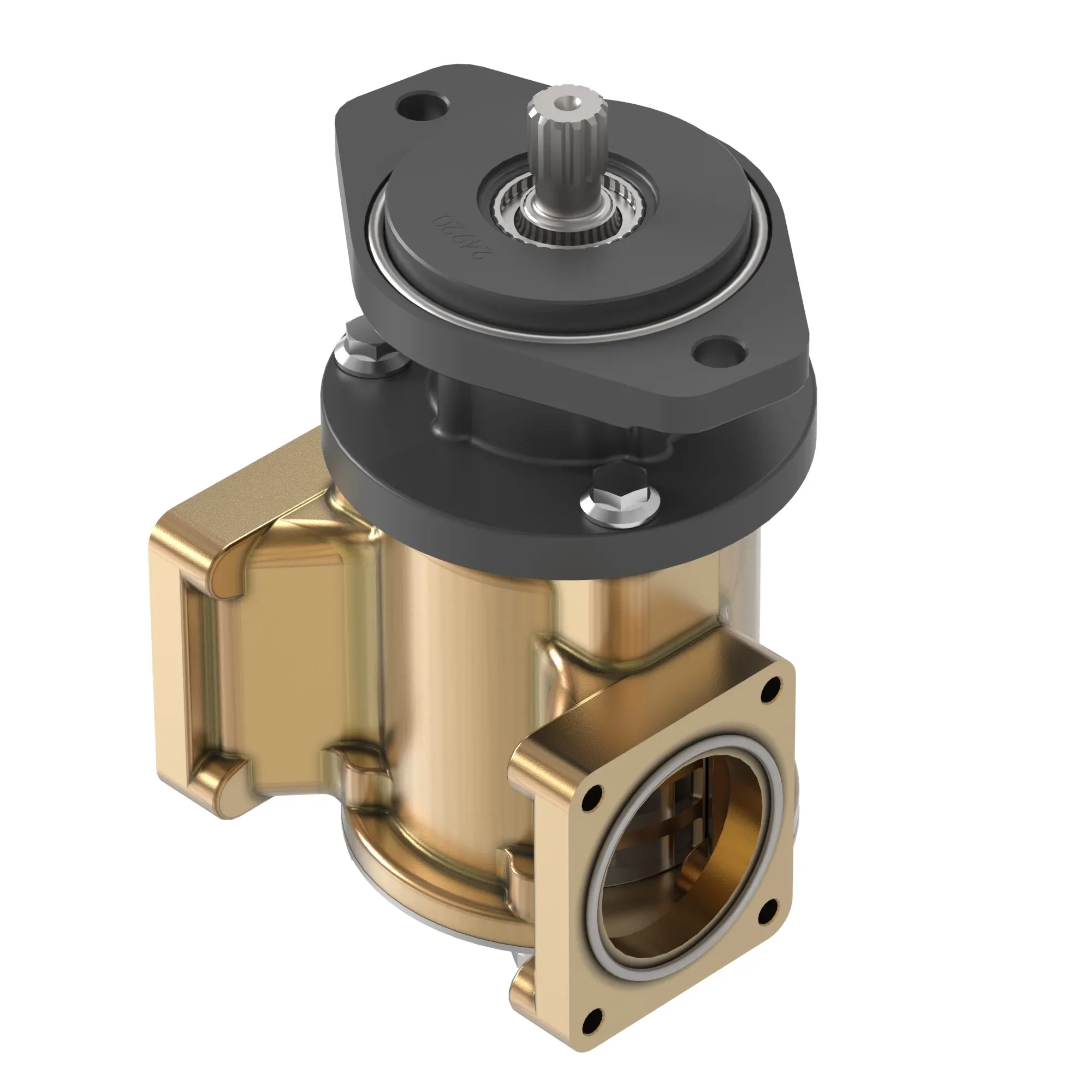 Water Pump