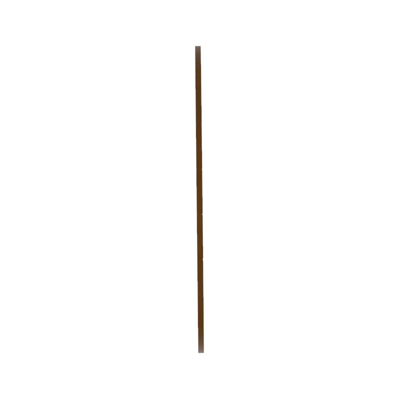 Disk