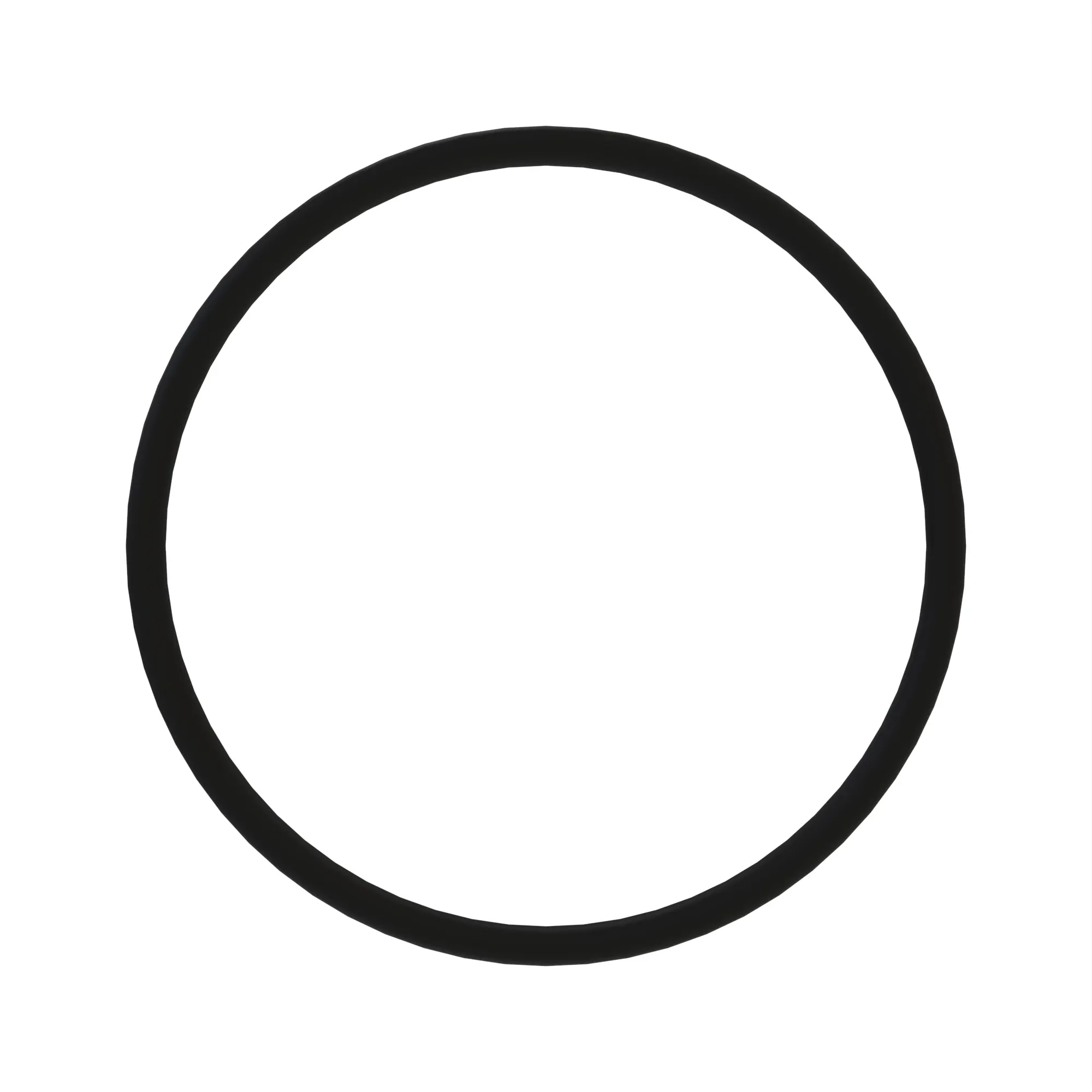 O-RING