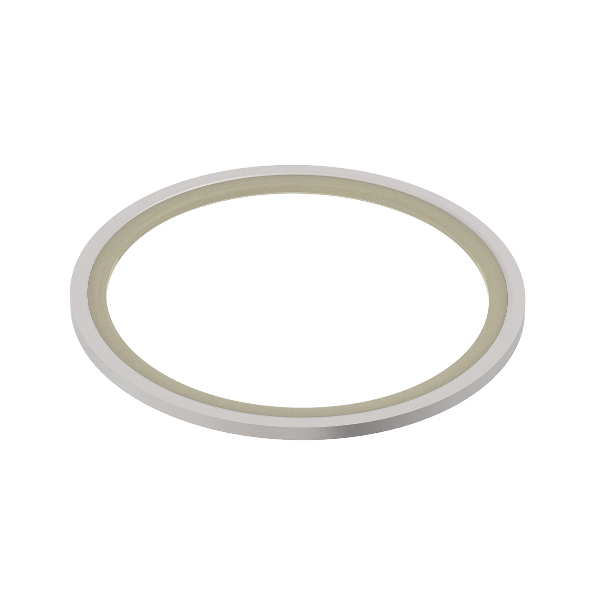 Shaft Seal