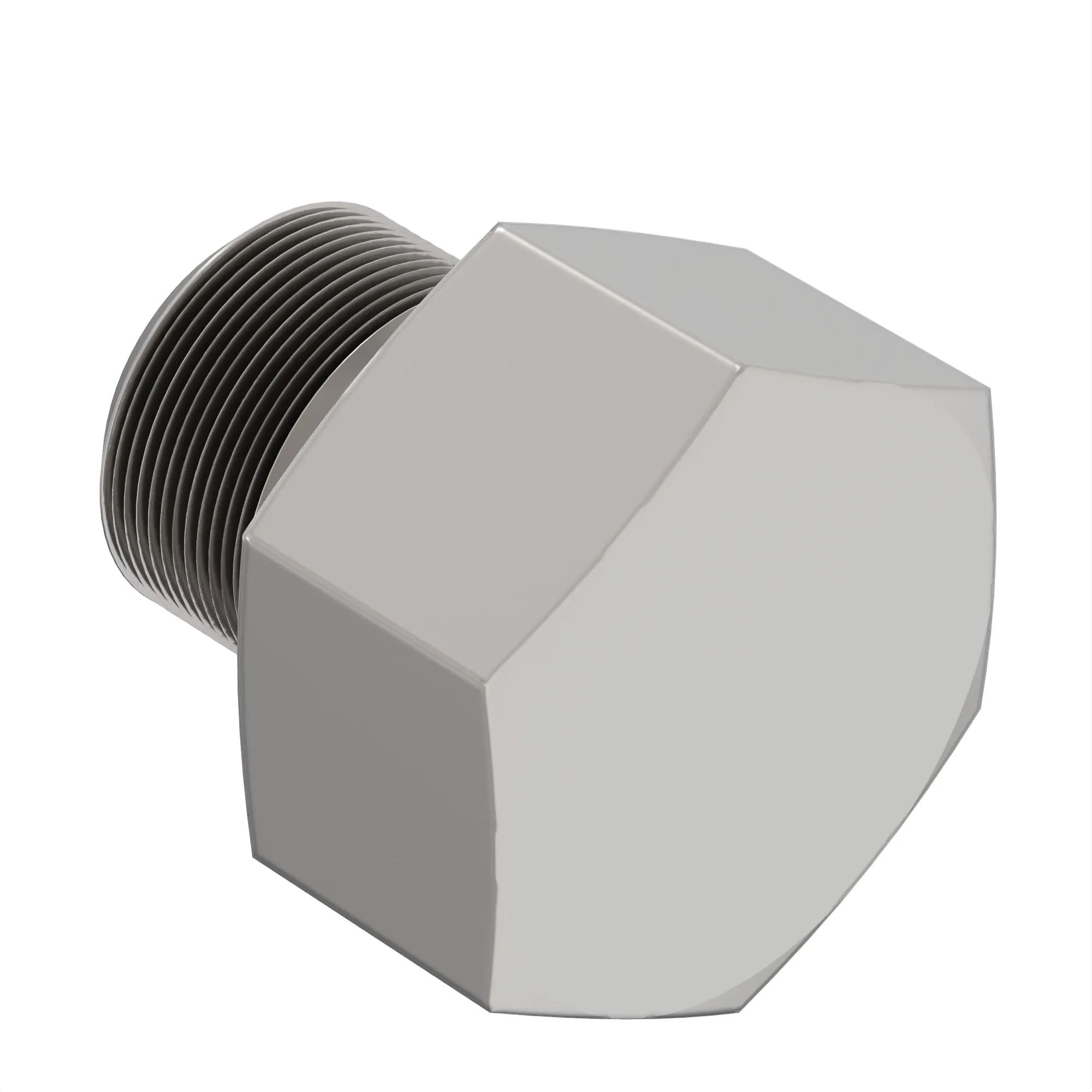 PLUG, BOSS O RING (O-RING HEX HEAD)