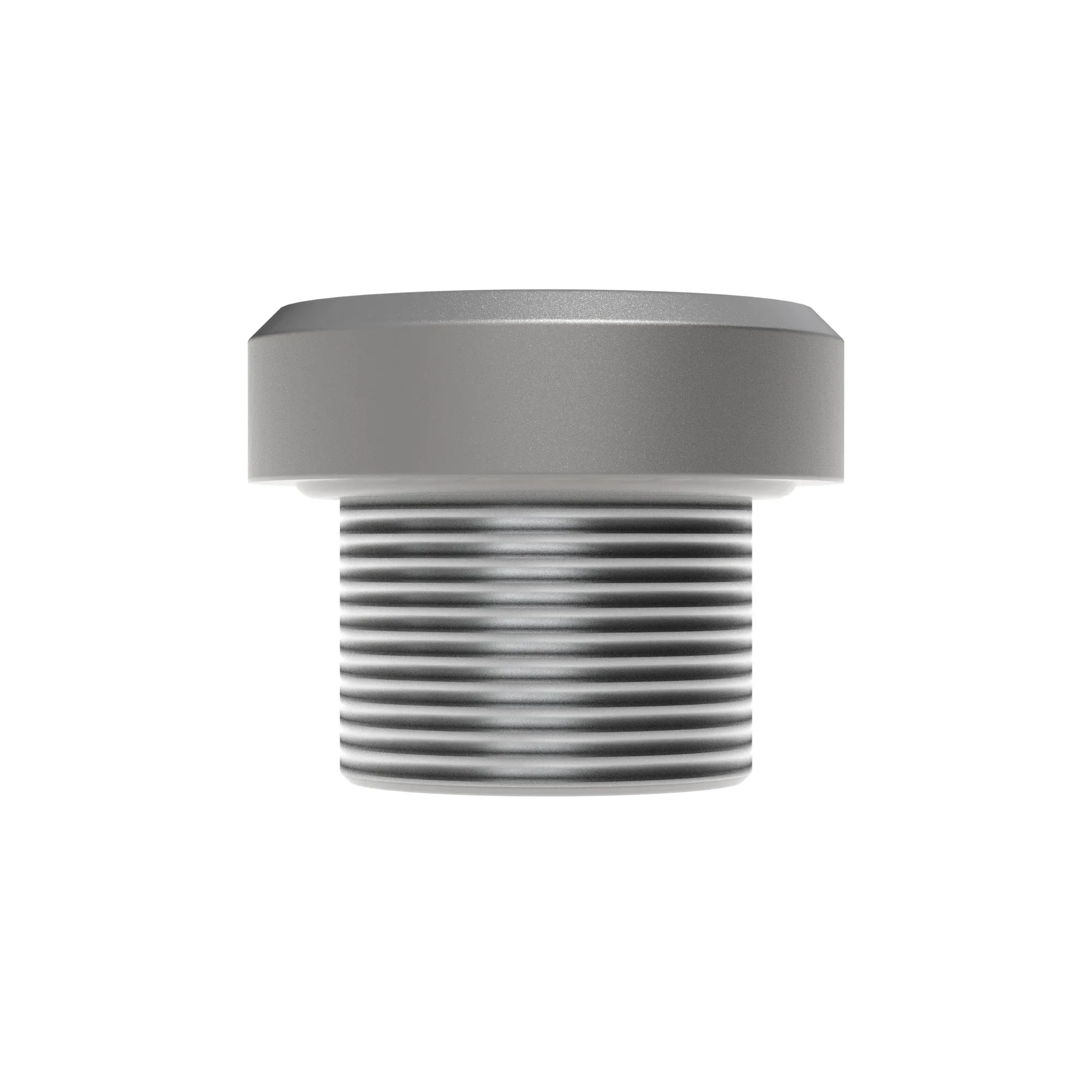 Fitting Plug
