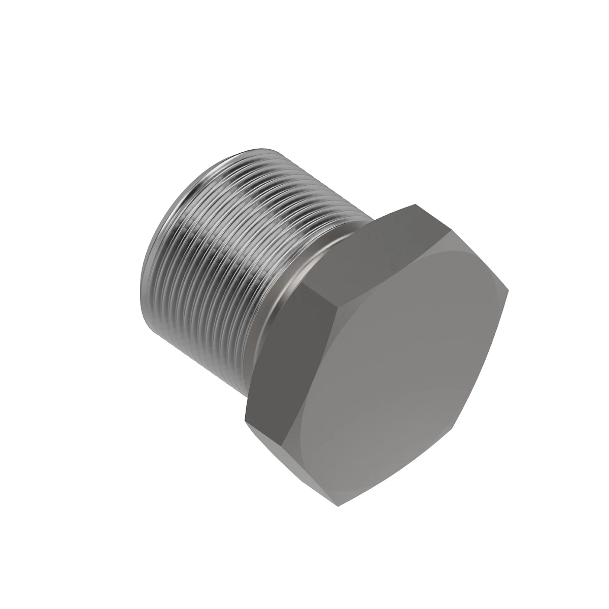 Fitting Plug