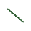 Auger