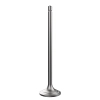 INTAKE VALVE