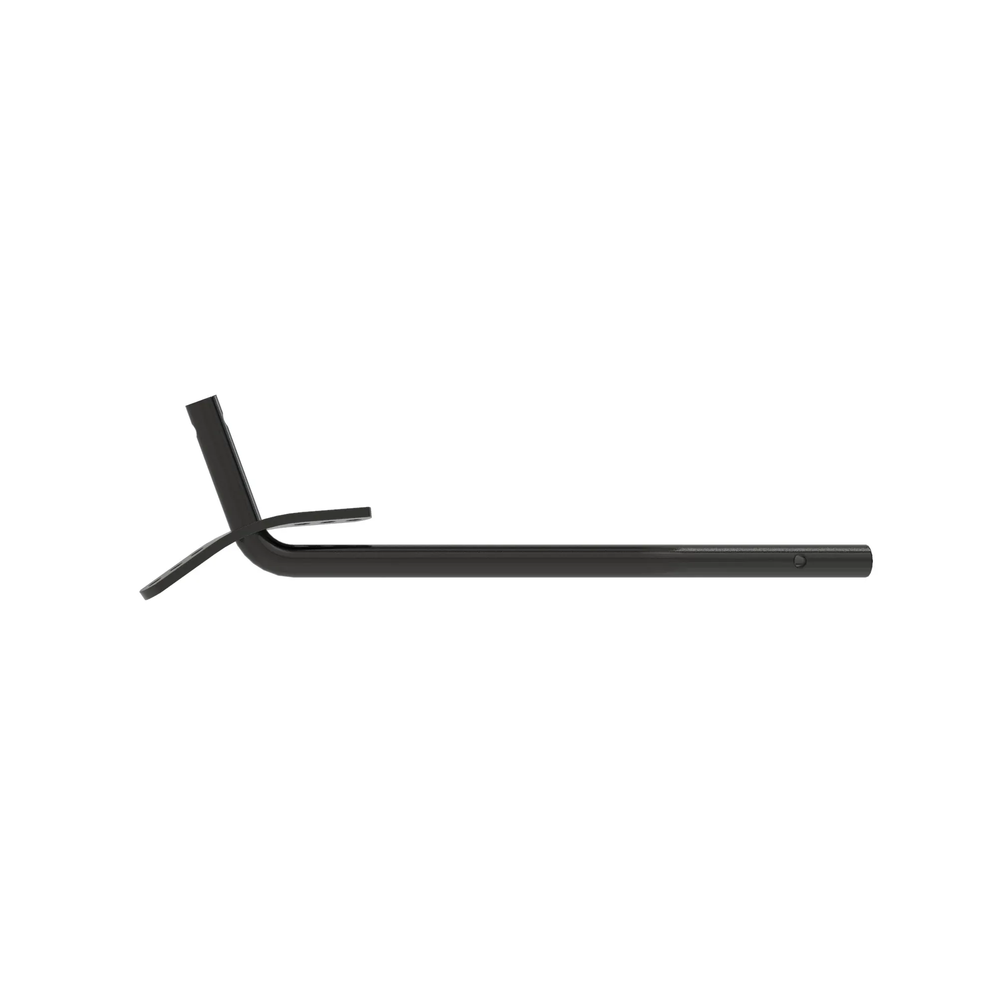 Arm