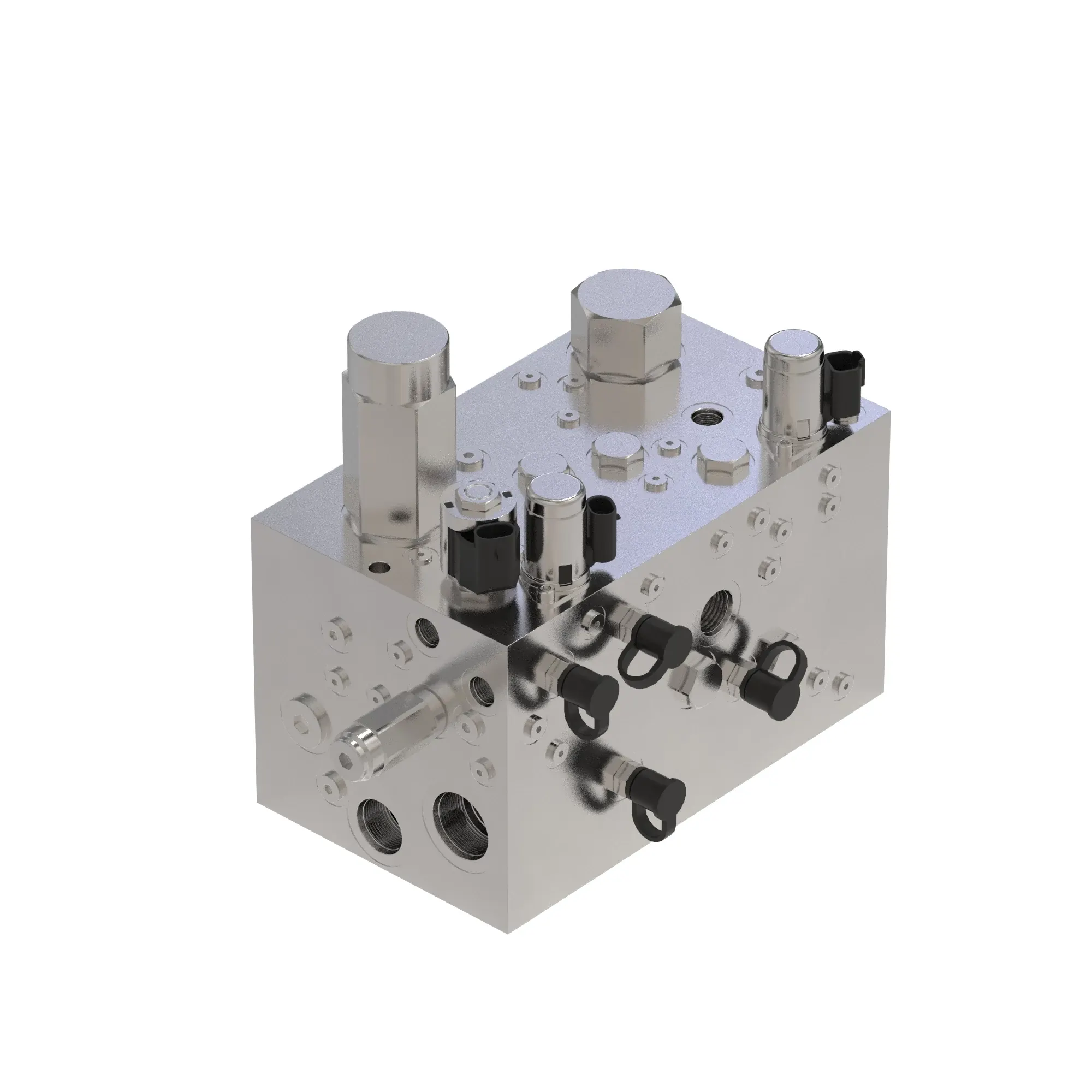 Manifold
