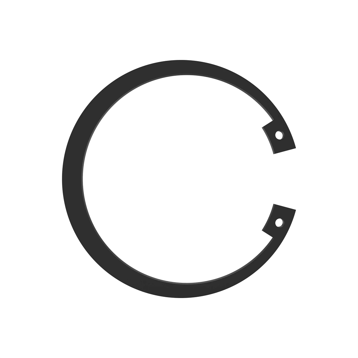 Ring, Internal Snap