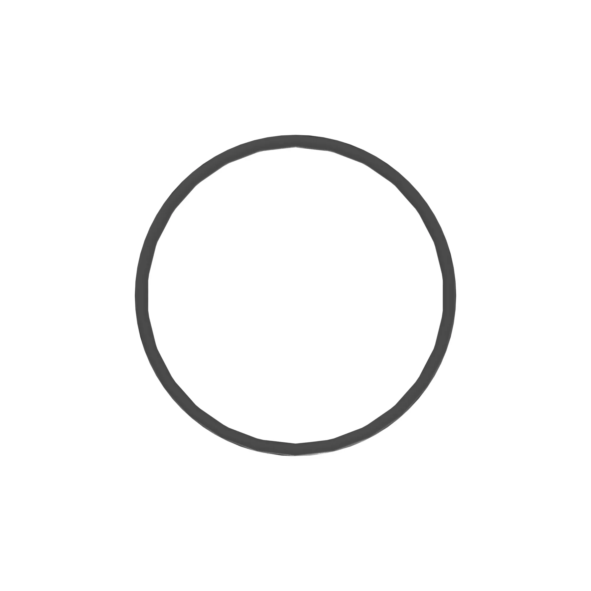O-Ring