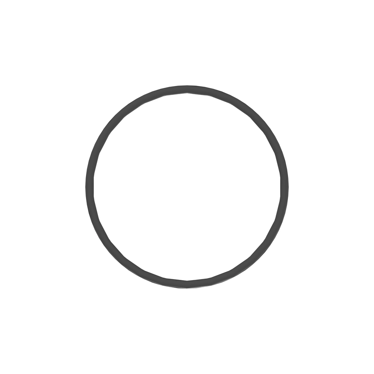O-Ring