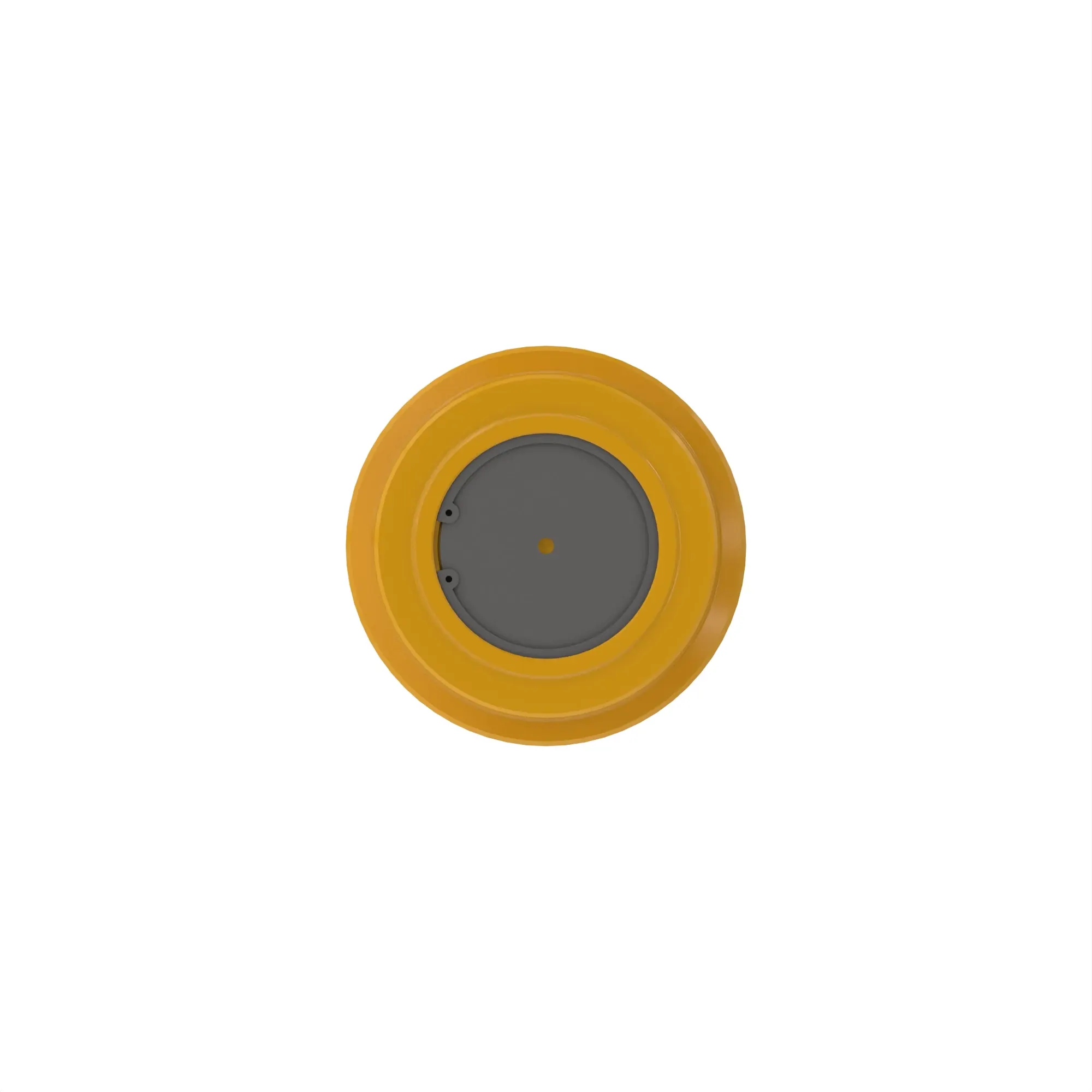 Carrier Roller