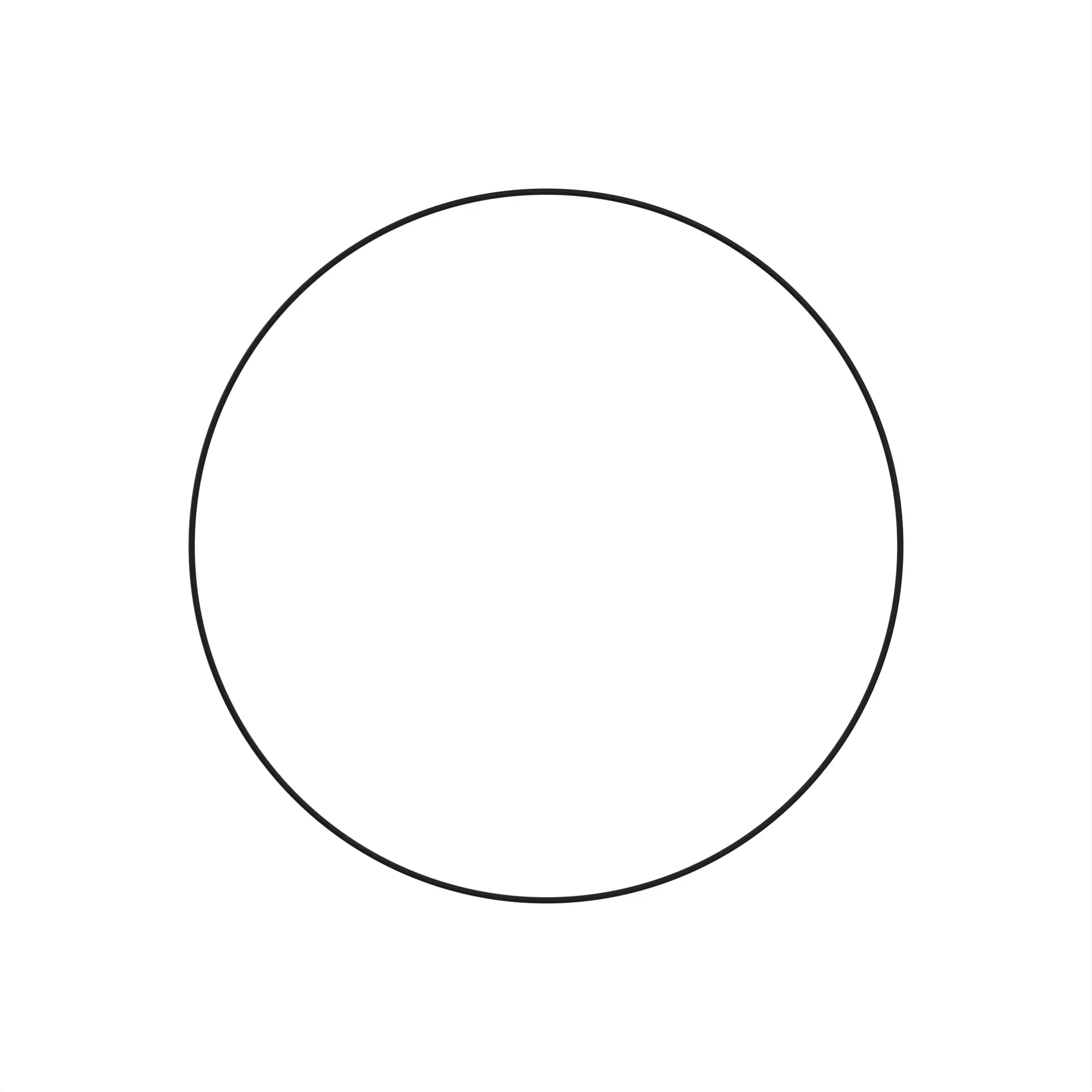 O-RING