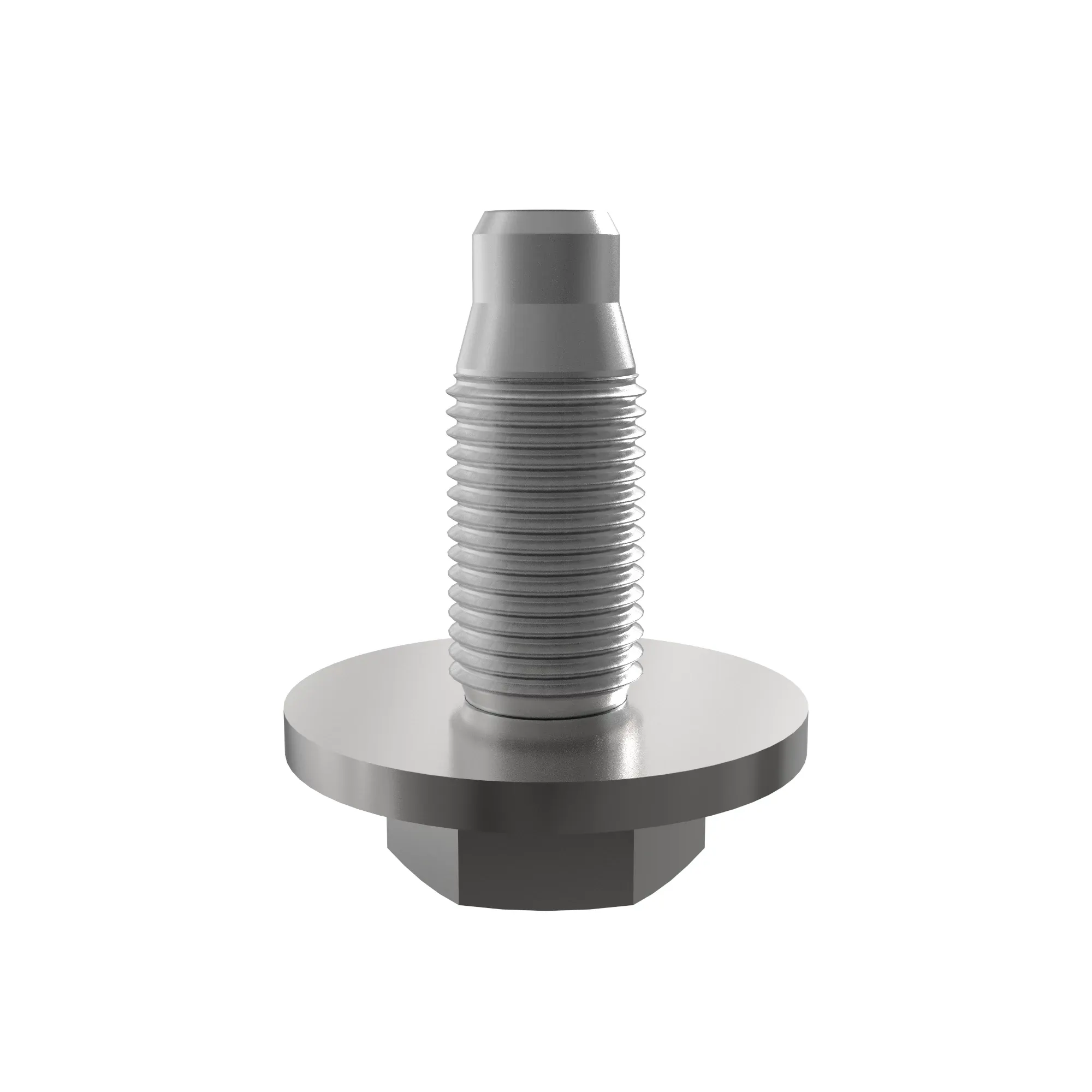 SCREW WITH WASHER