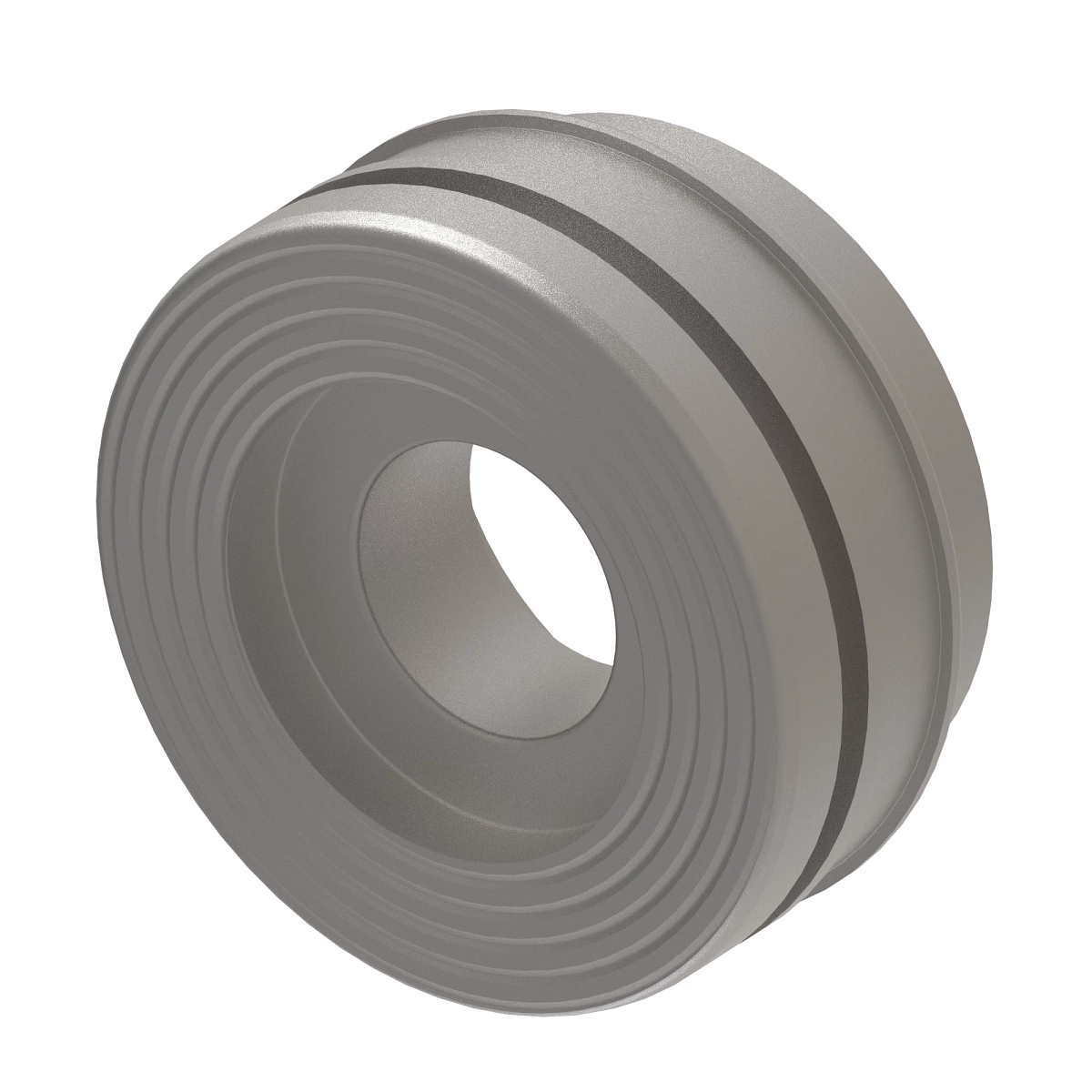 Piston, 160 X 95 X M58 2 Pc Seal