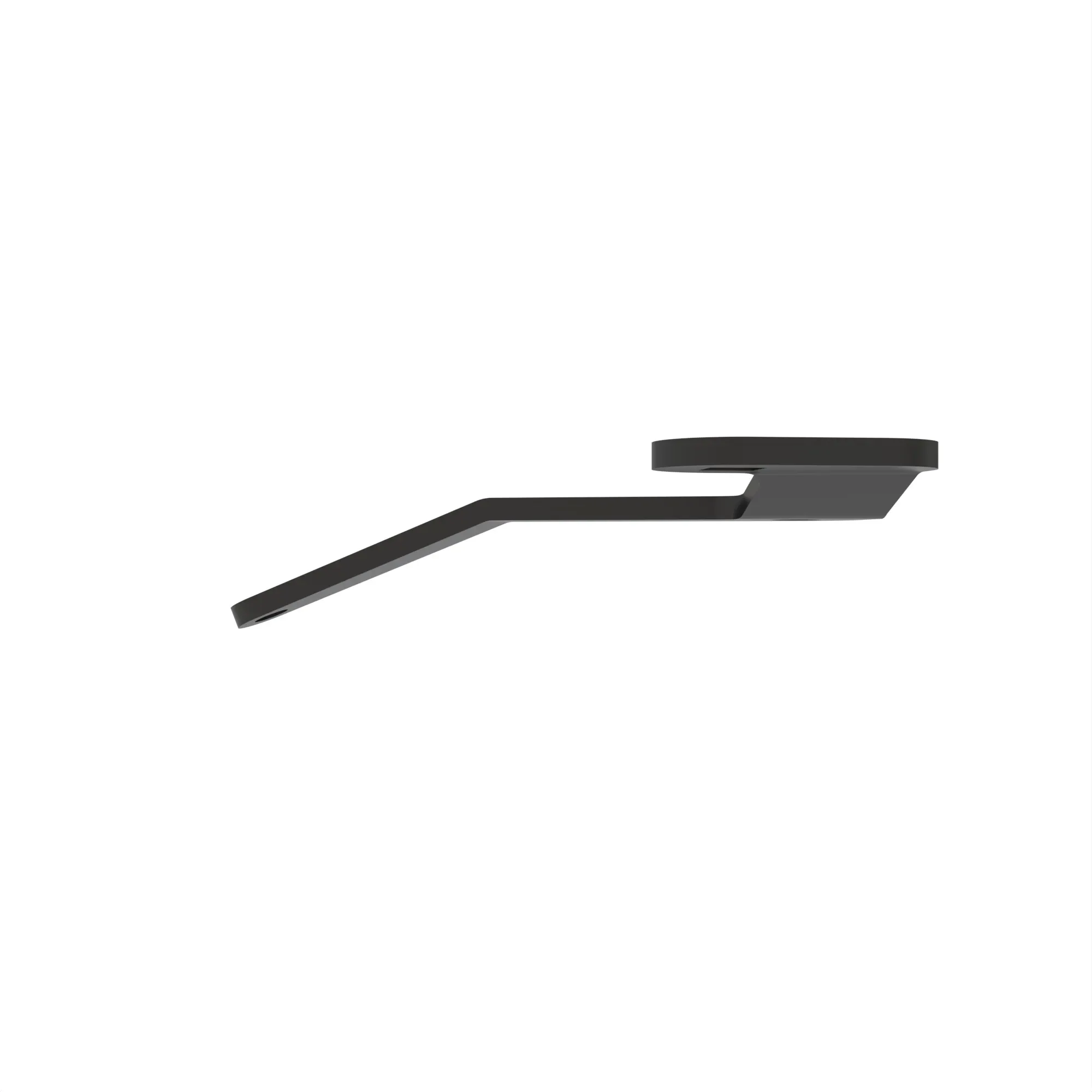 arm