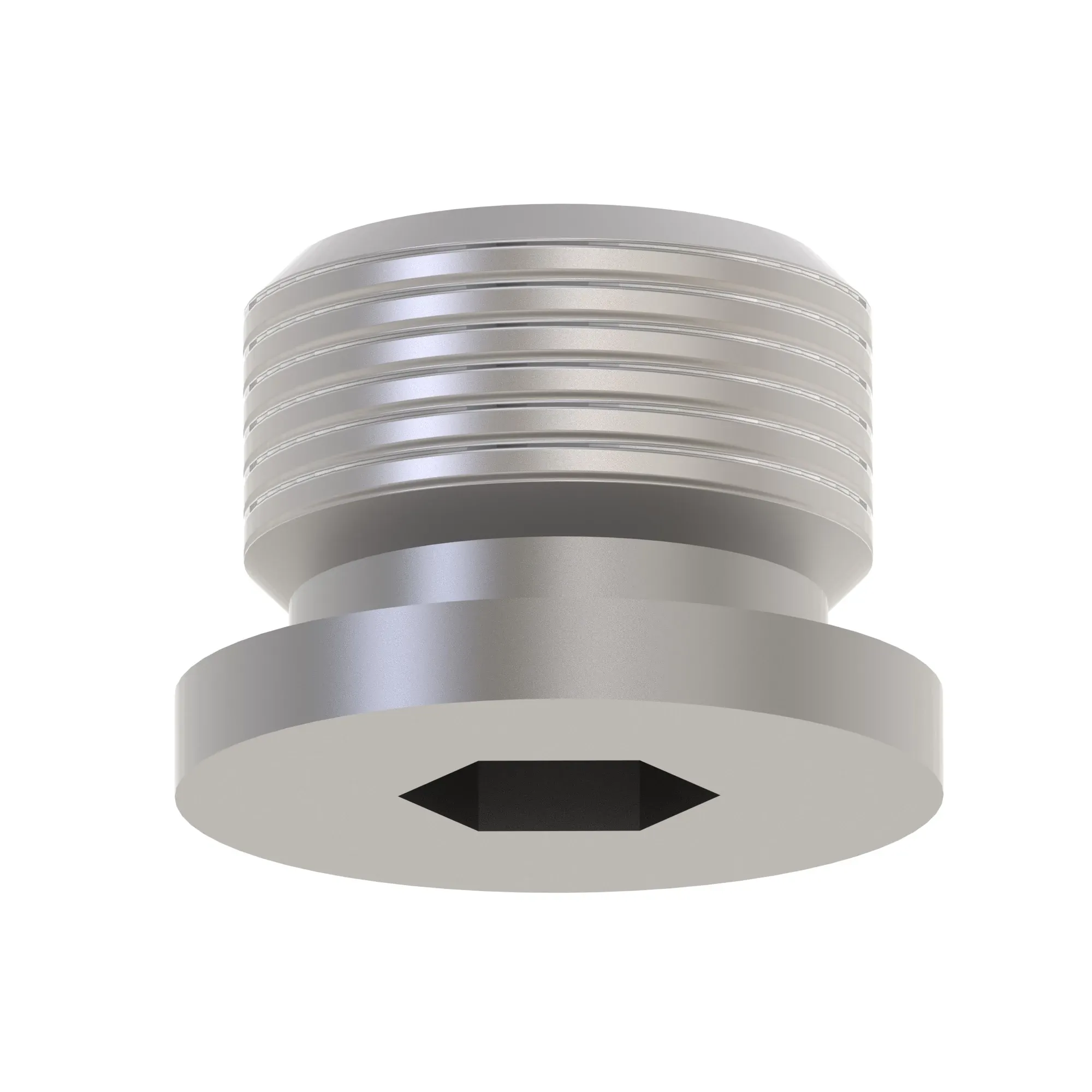 Fitting Plug